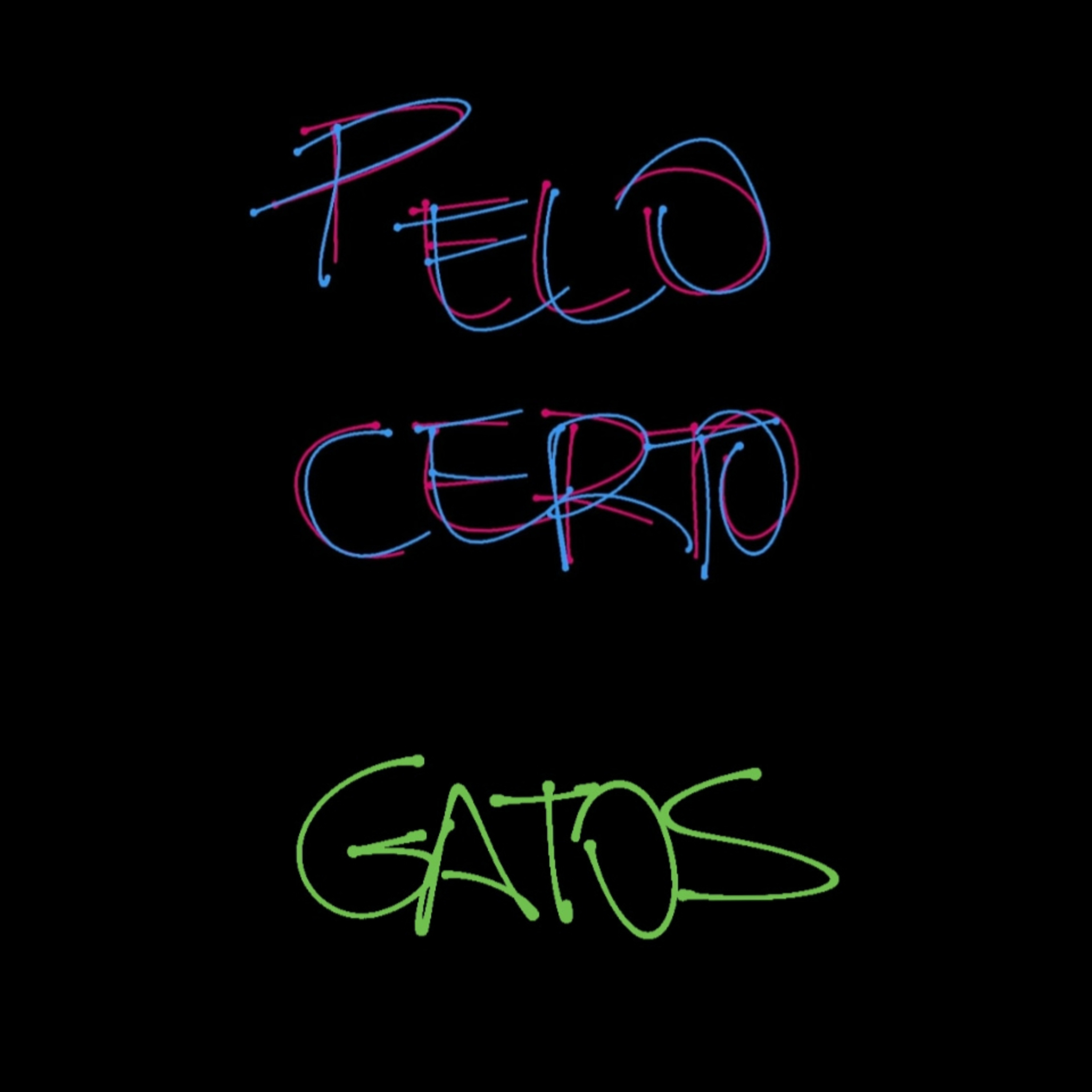 Pelo Certo Cast