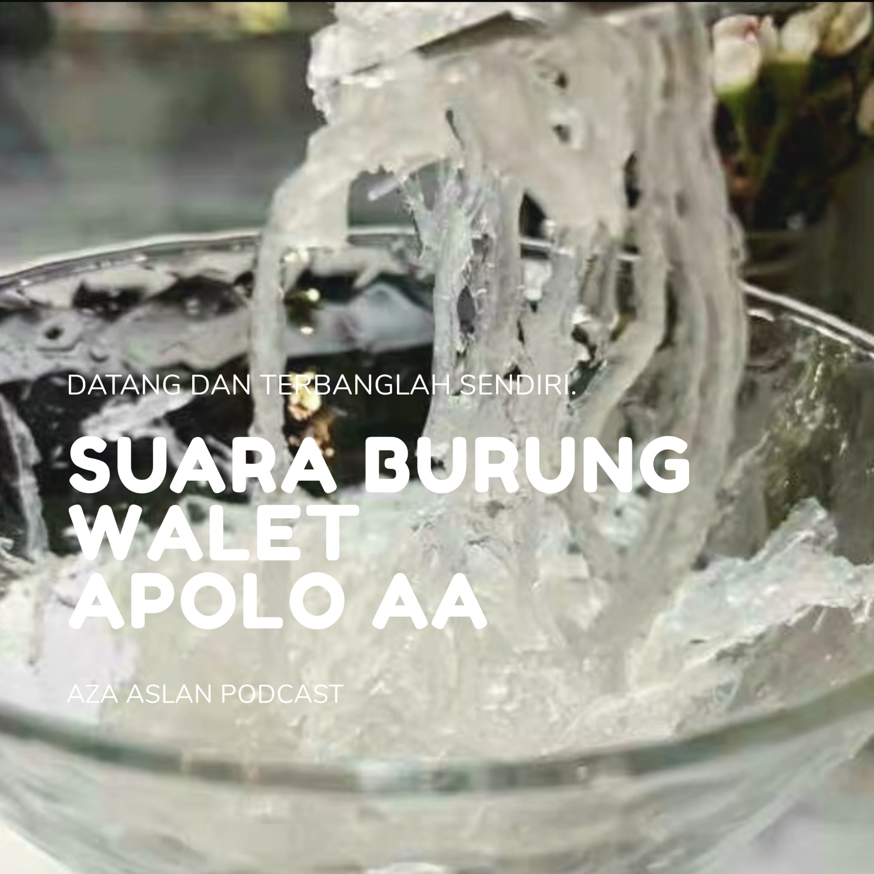 AZA WALET INDONESIA