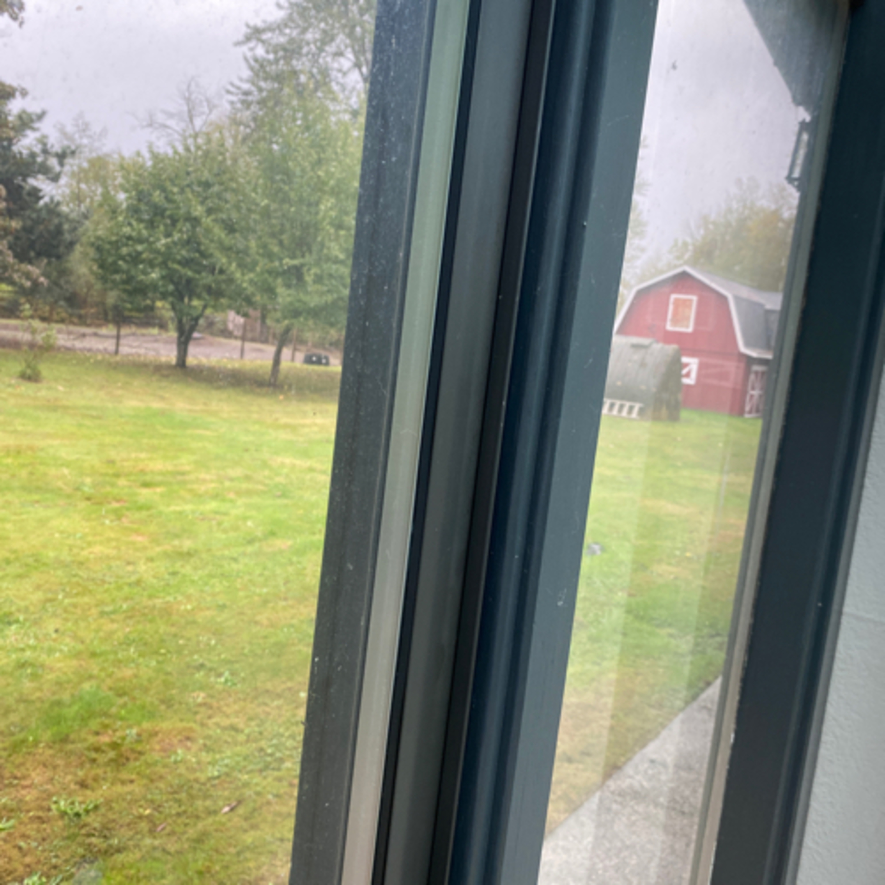 Fun Facts With Devin