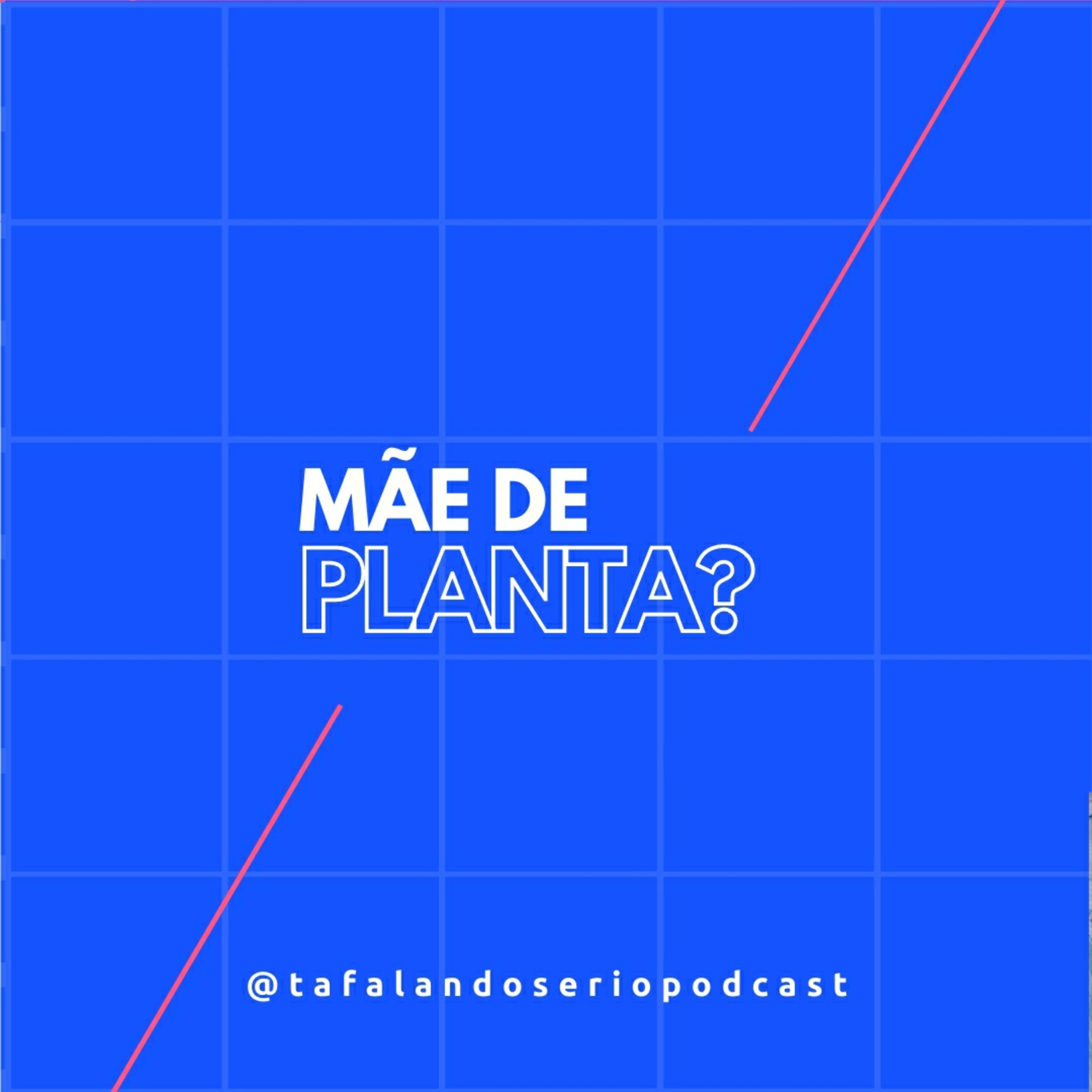 Mãe de Planta? E de gato e de duendes ... episode artwork