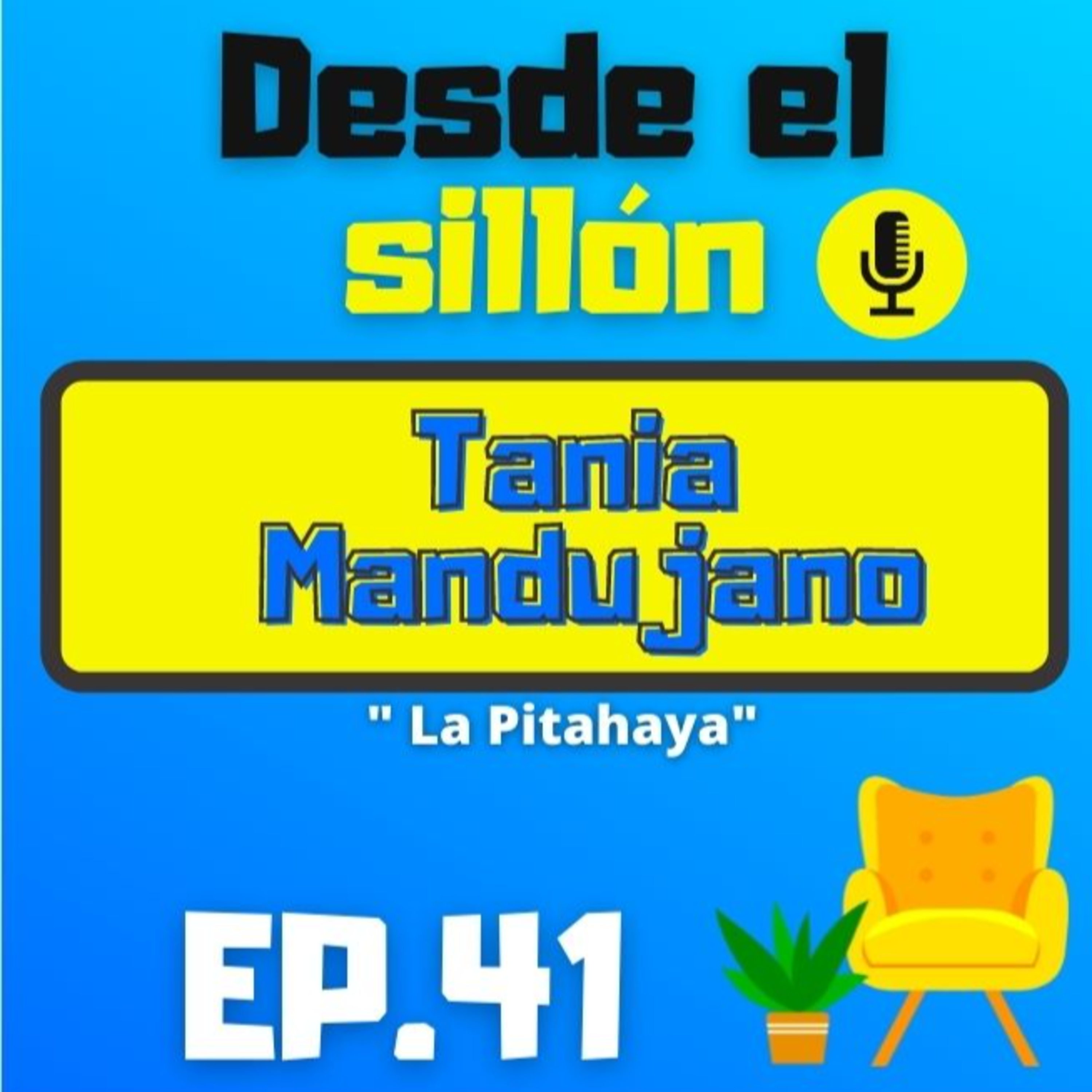 DESDE EL SILLÓN