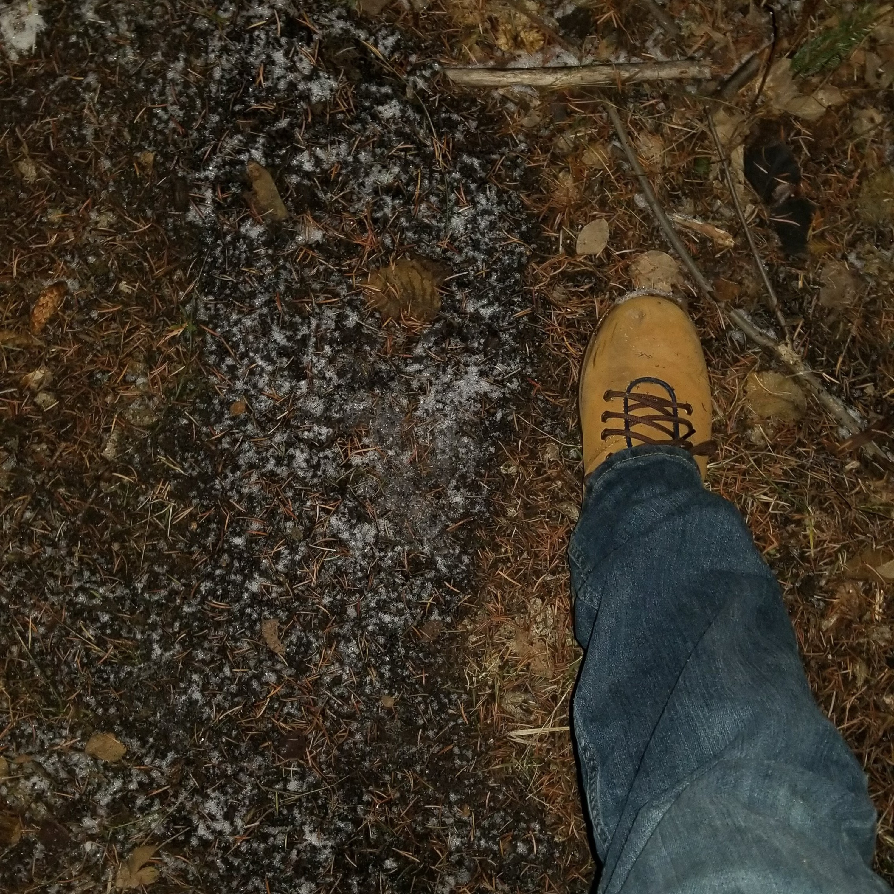 Nicola Valley Bigfoot Podcast