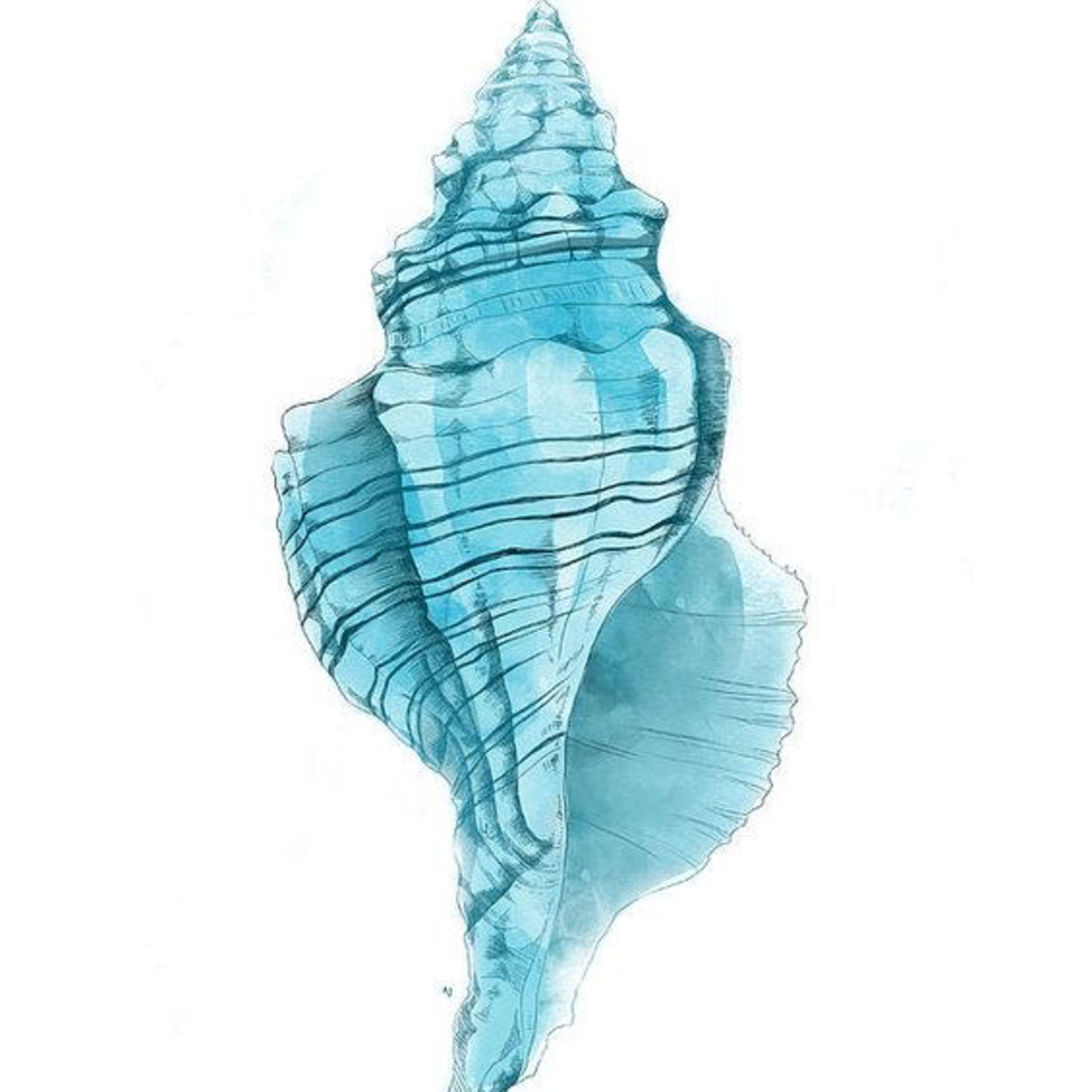 Marmara Denizi  episode artwork