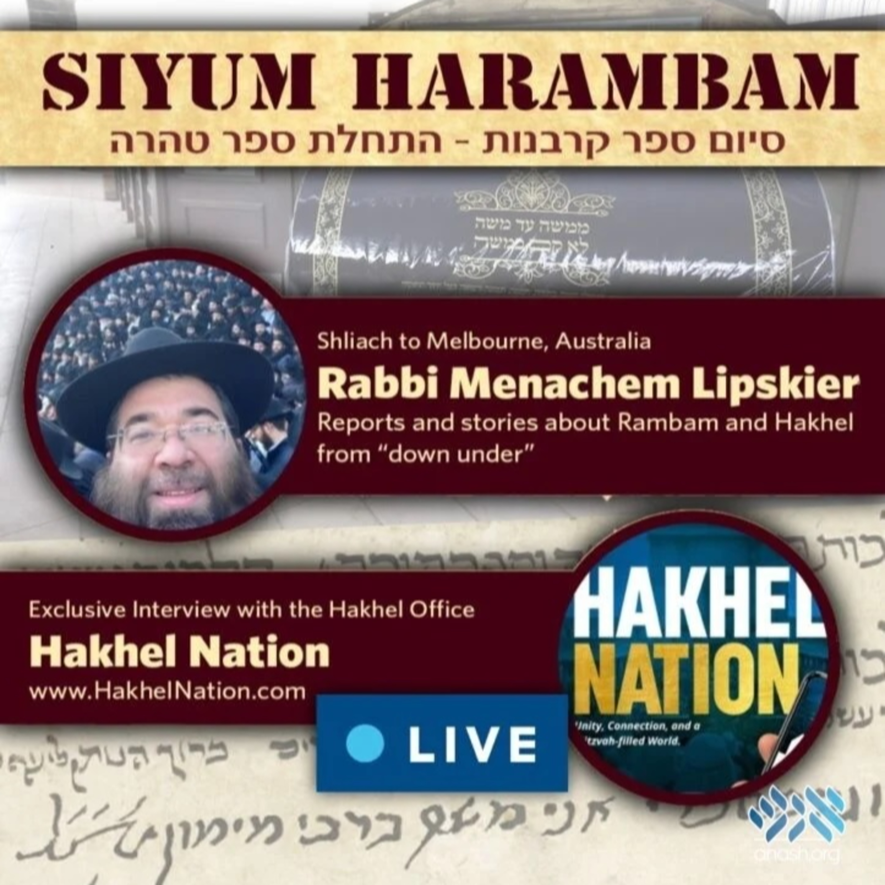 Rambam Insights