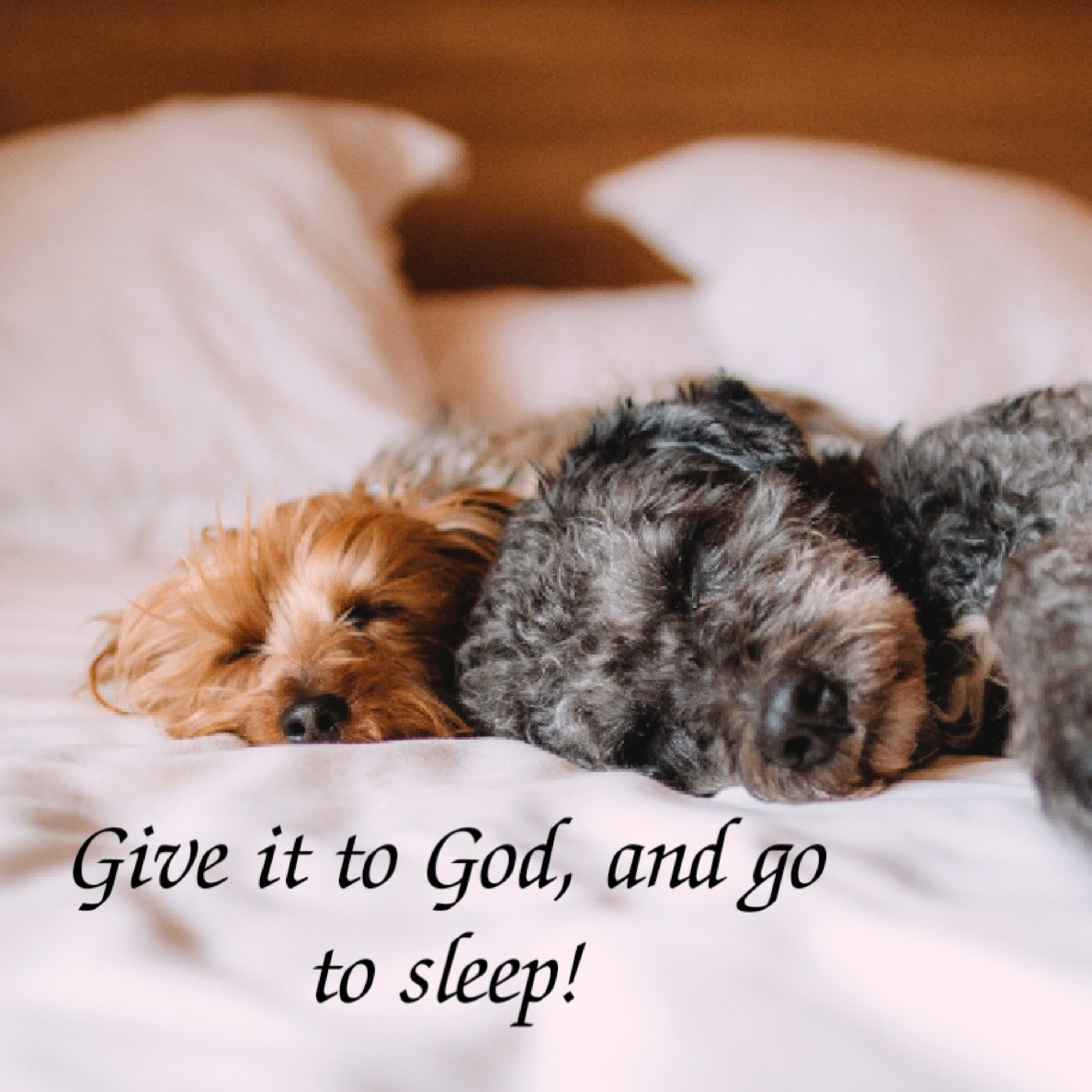 Give it to God, and go to sleep! episode artwork