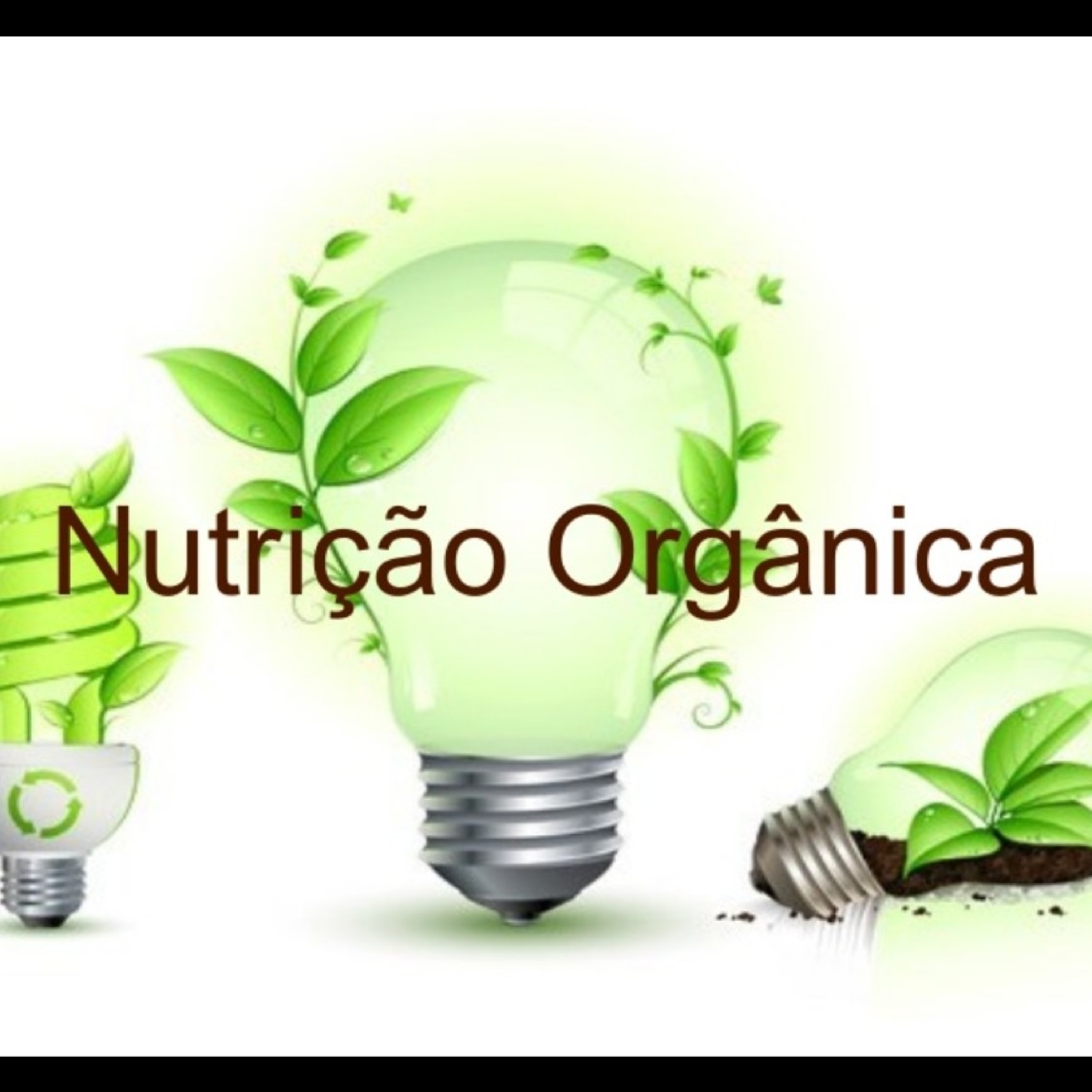 NUTRIÇÃO ORGÂNICA 🌱