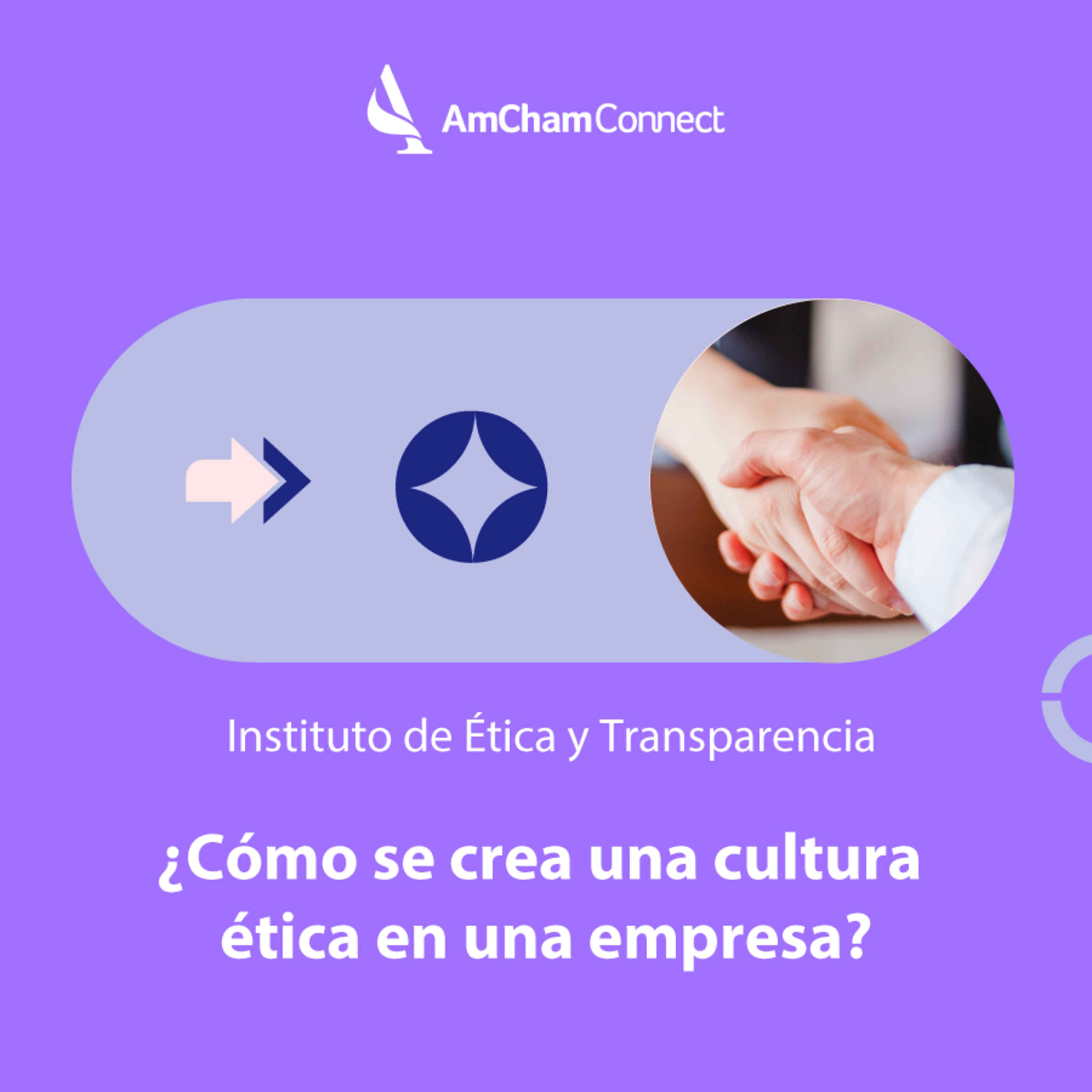 AmCham Connect