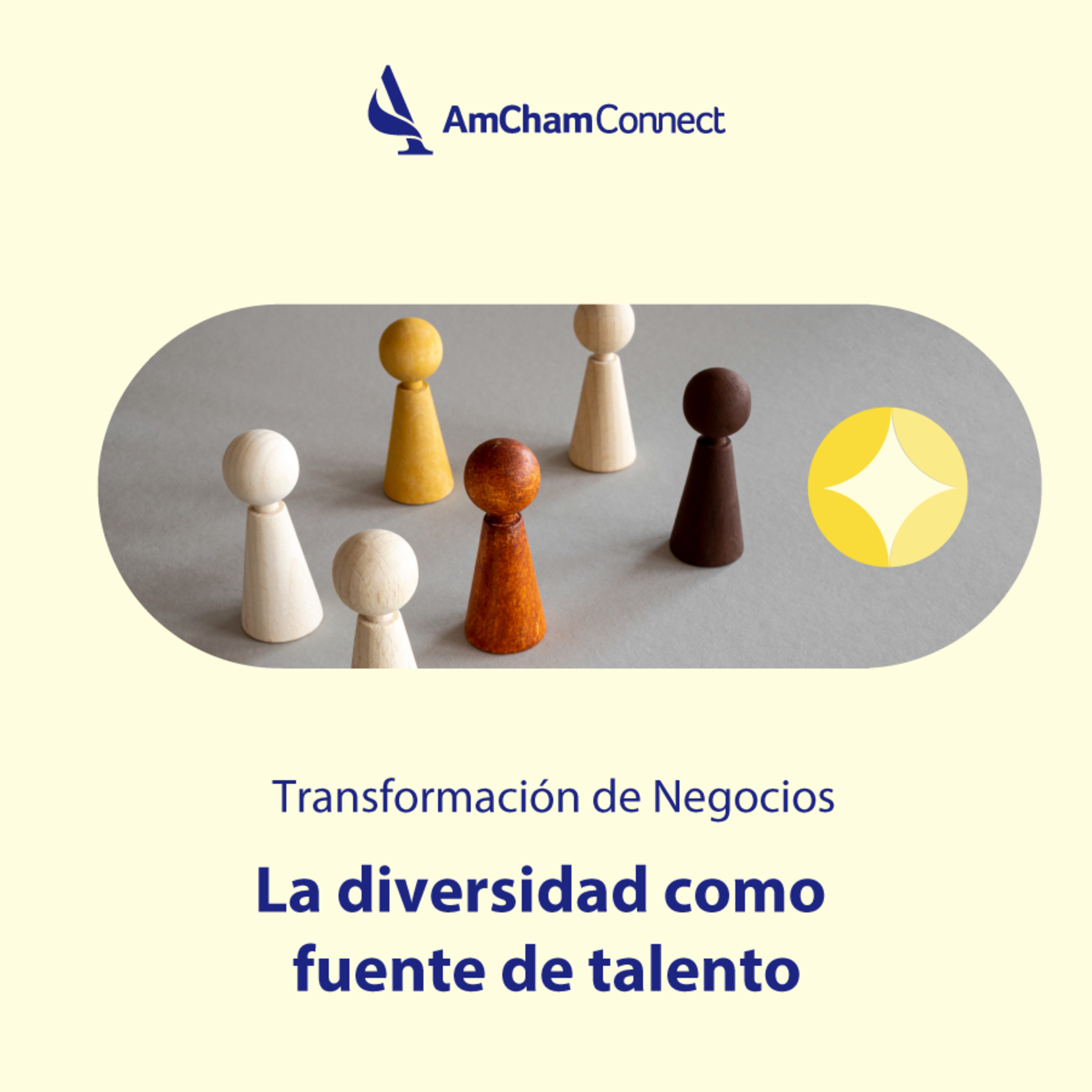 AmCham Connect