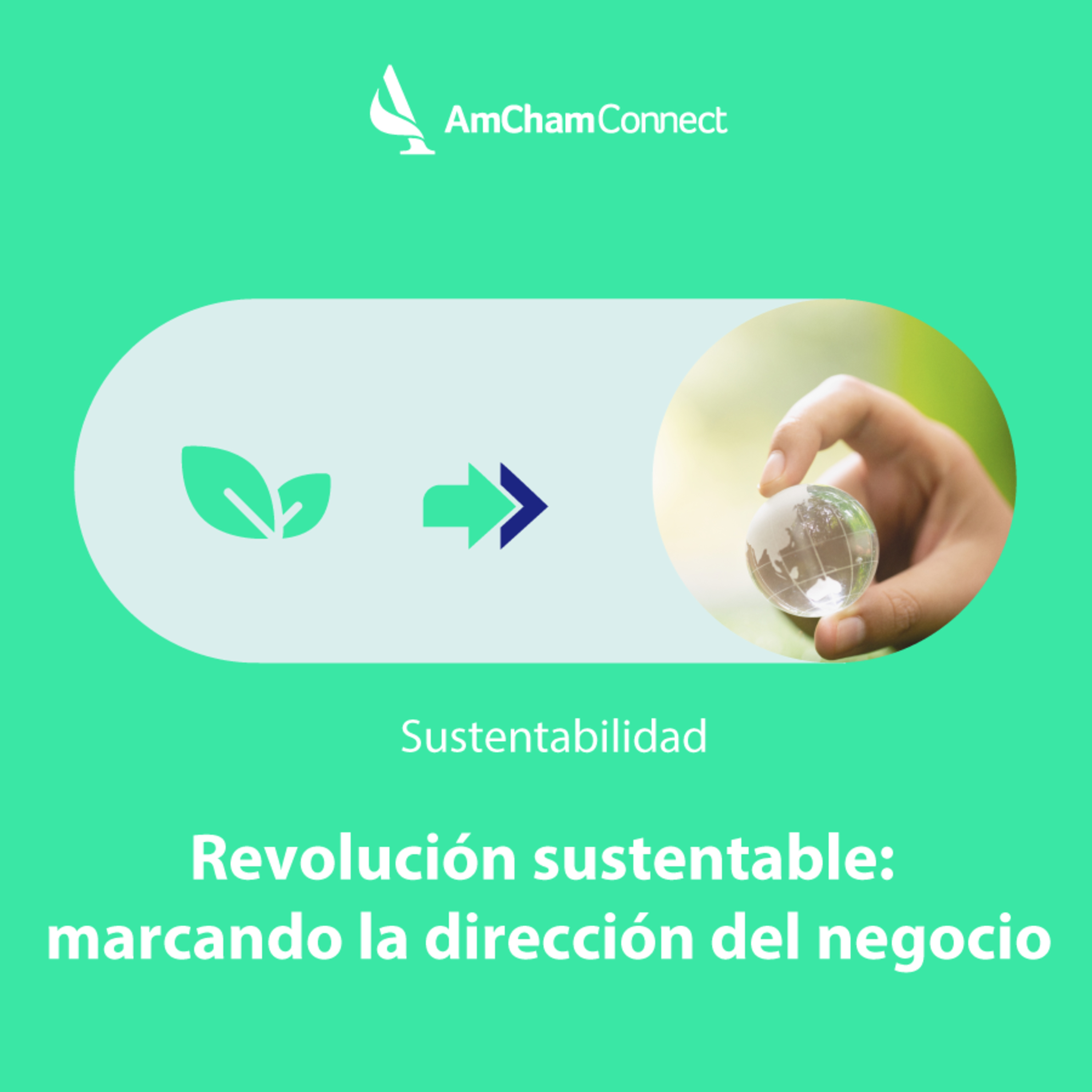 Portada de AmCham Connect