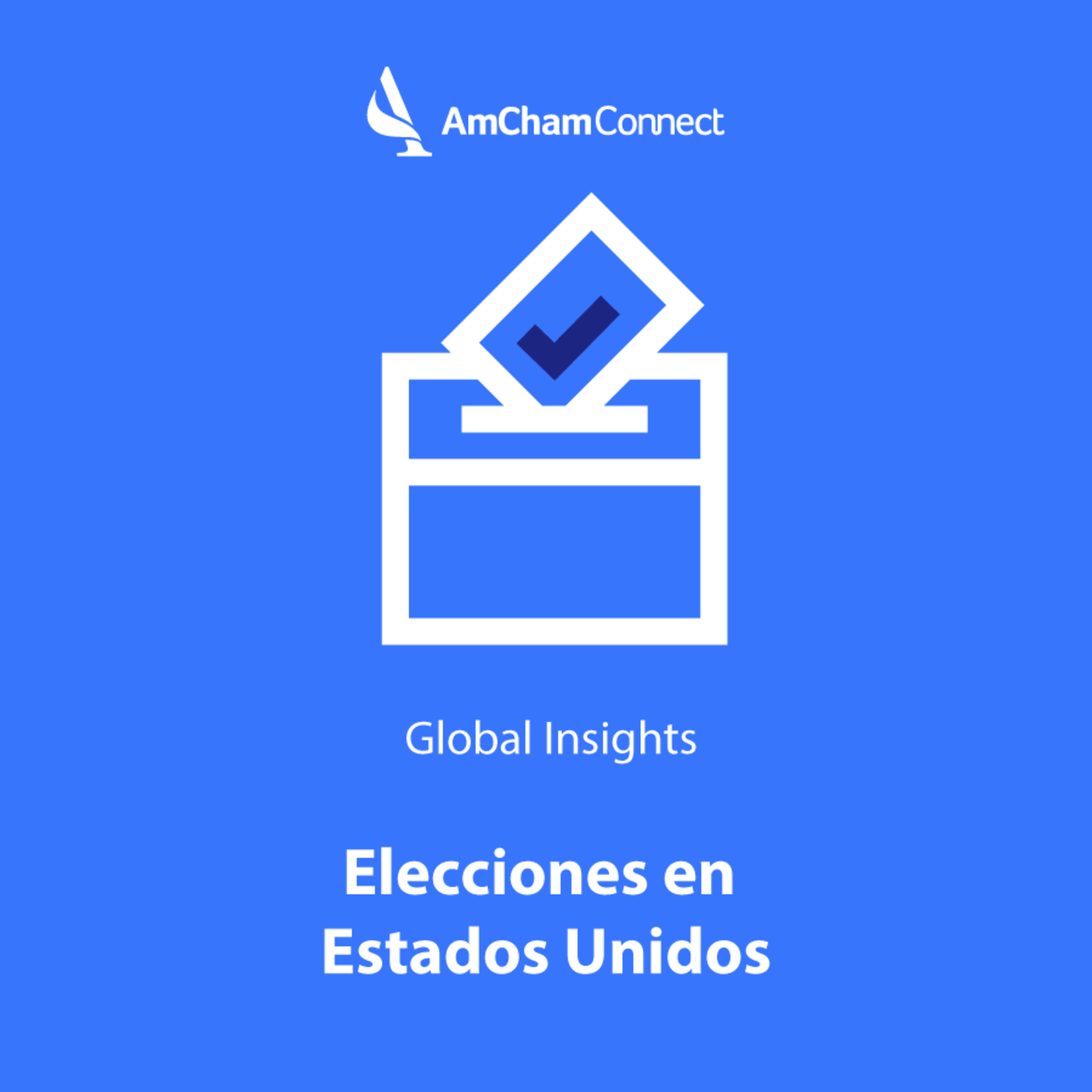 AmCham Connect