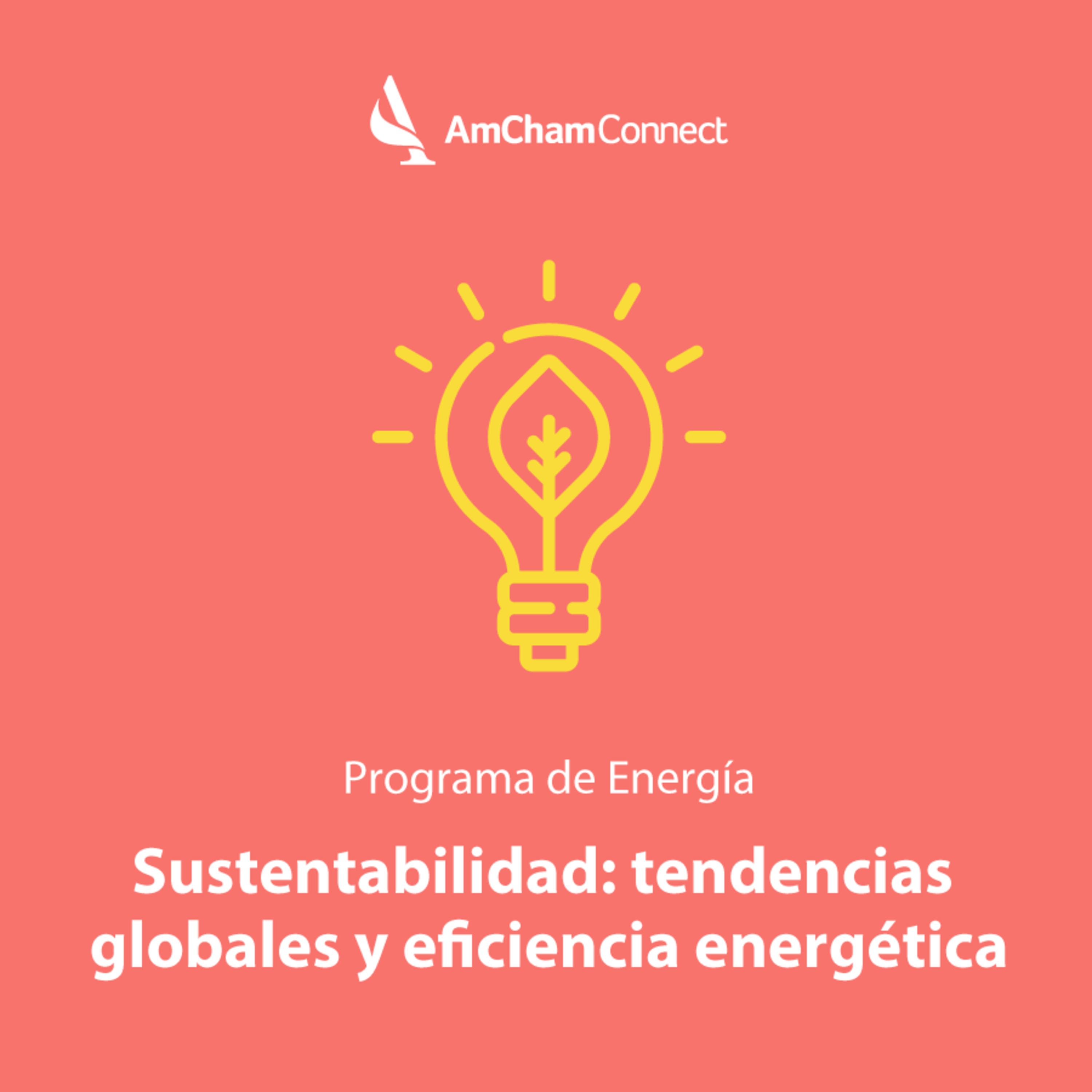 Portada de AmCham Connect