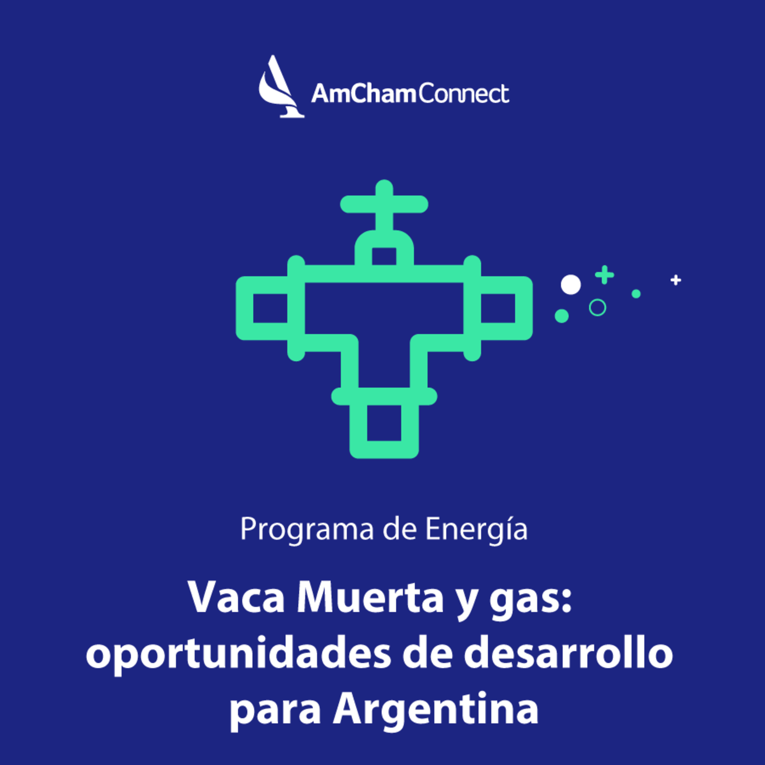Portada de AmCham Connect