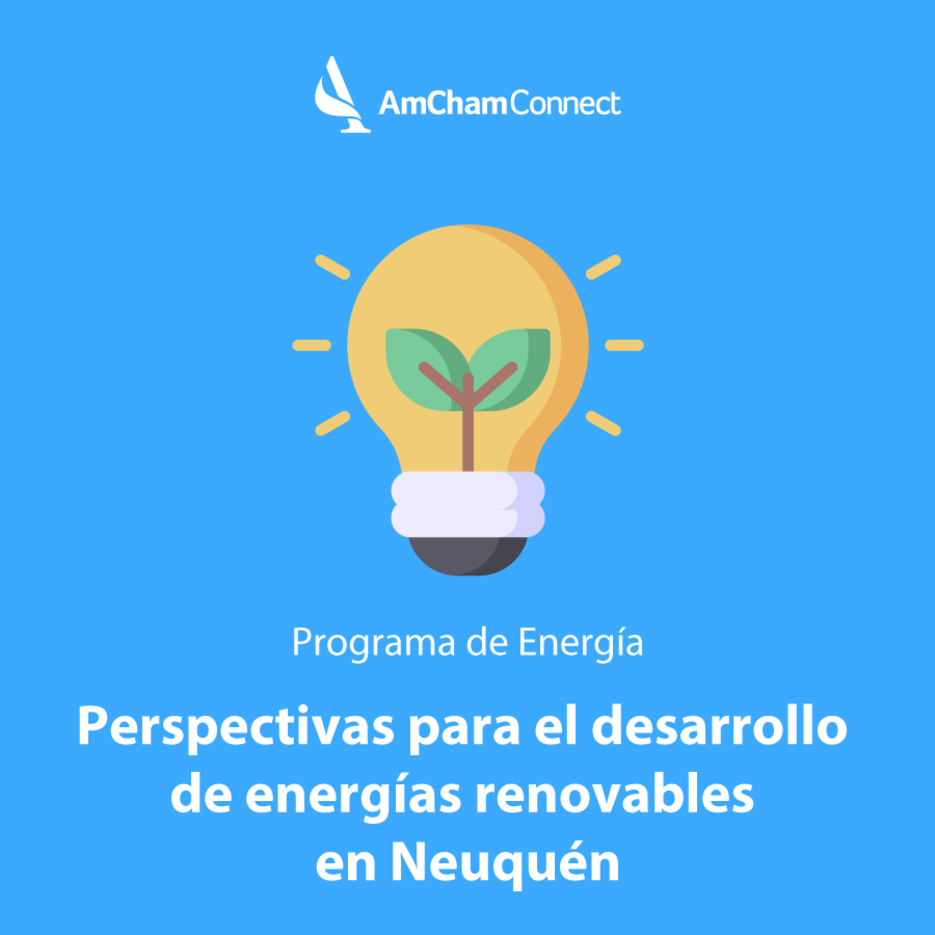 Portada de AmCham Connect