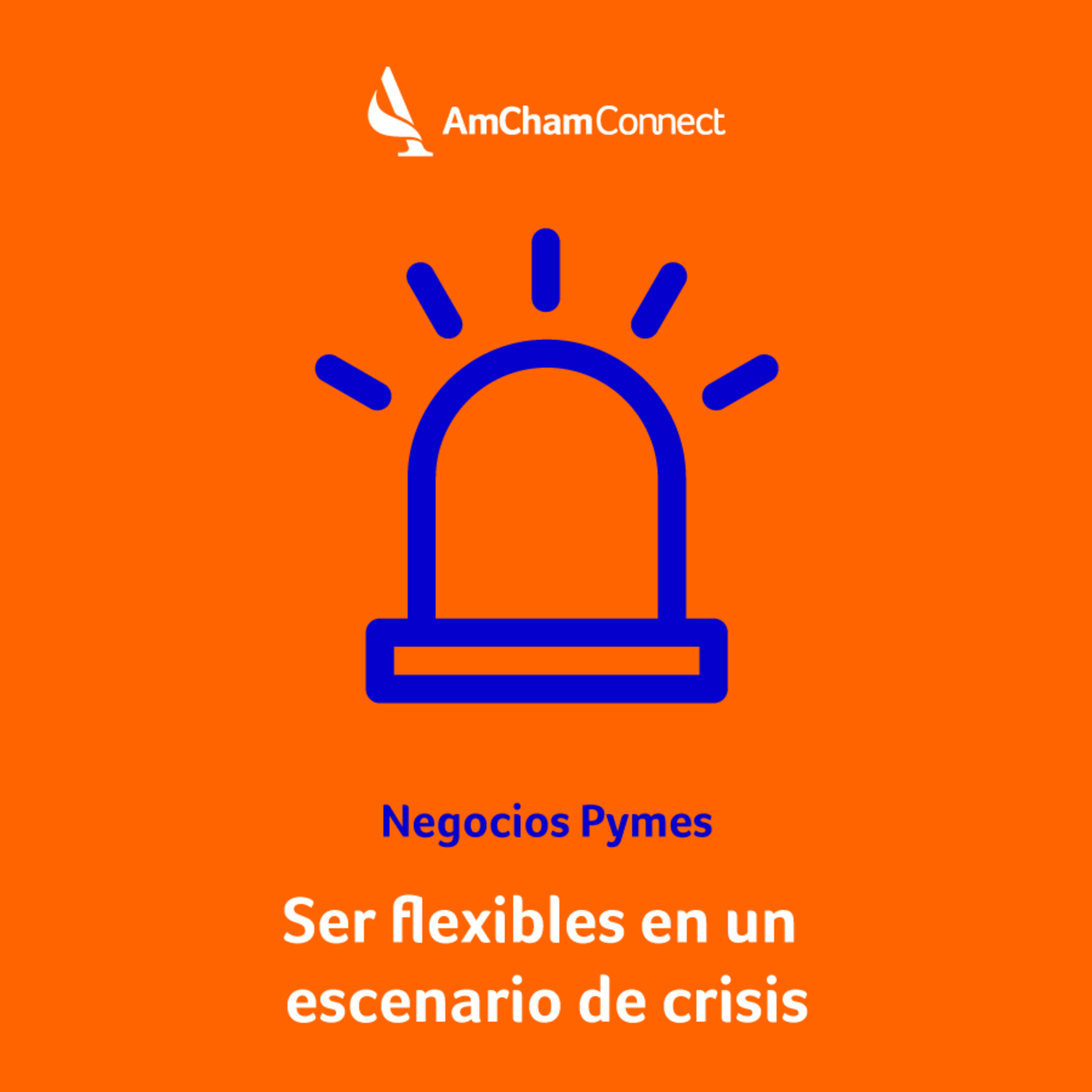 Portada de AmCham Connect