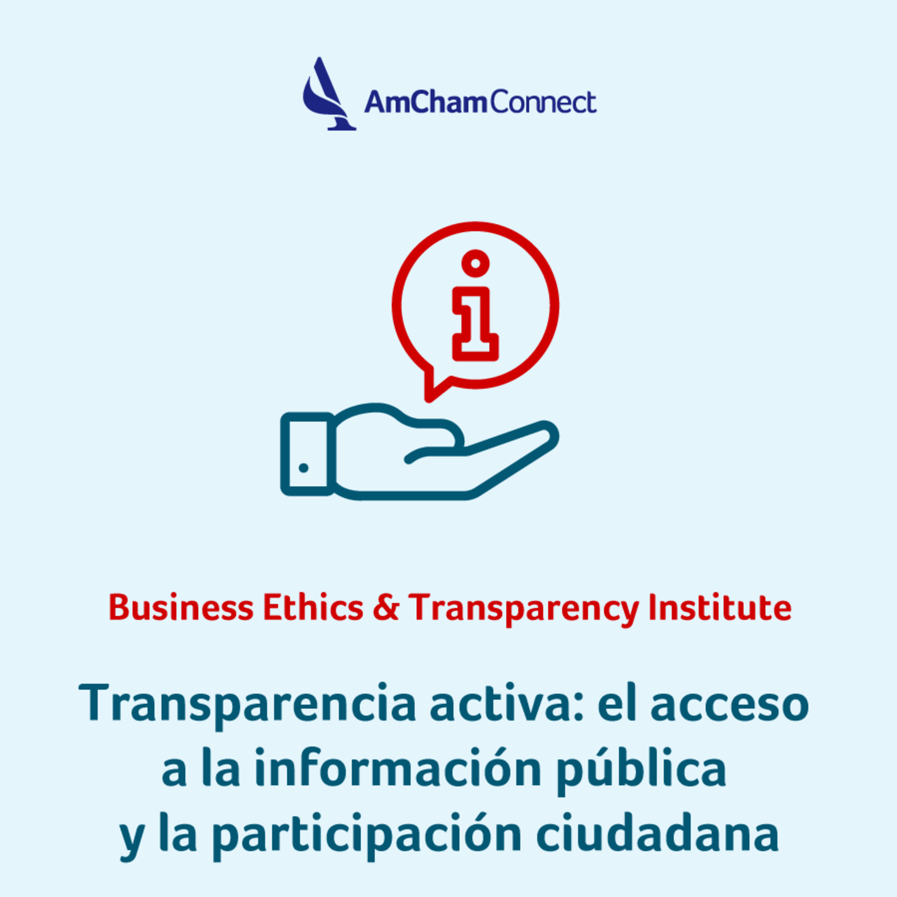 AmCham Connect