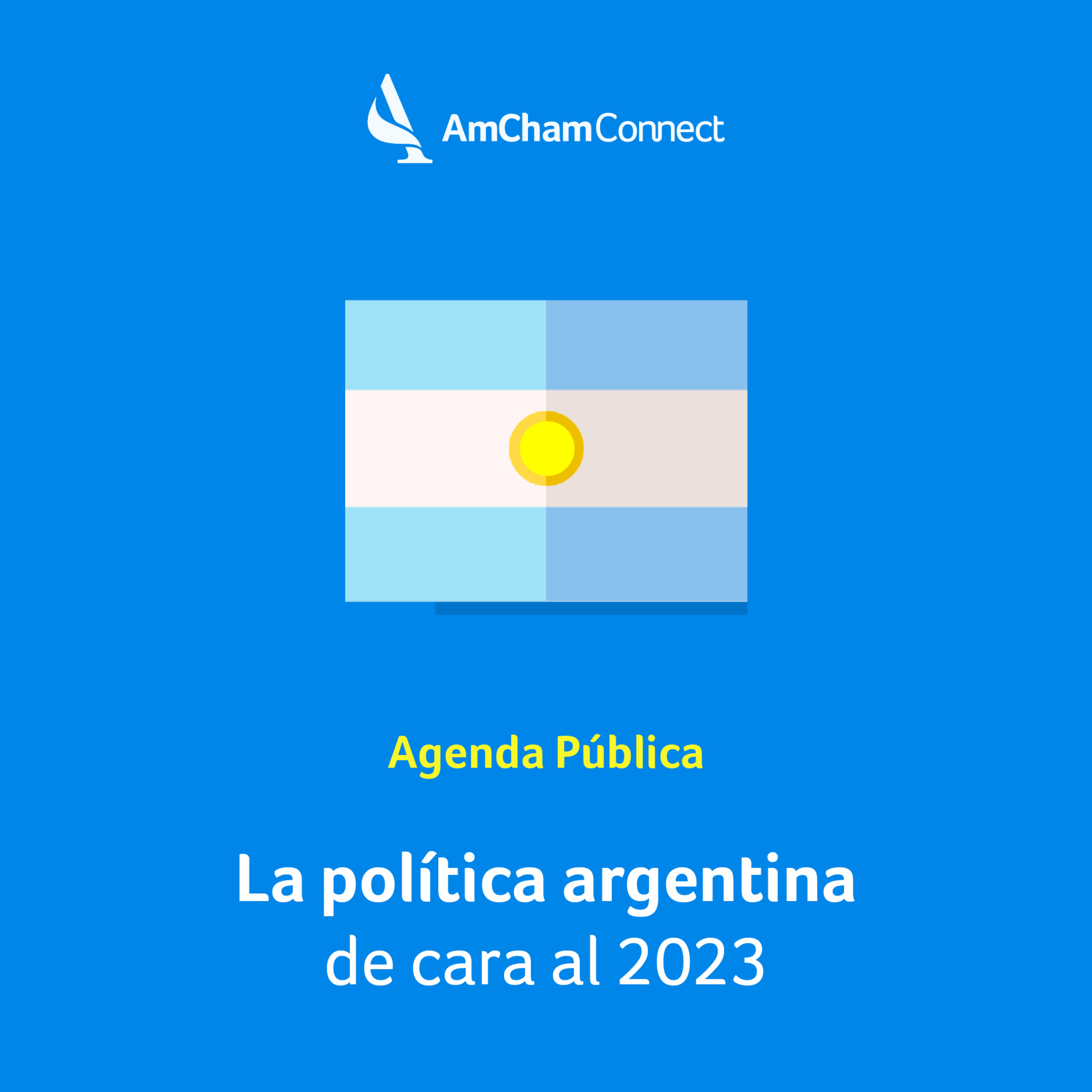 AmCham Connect