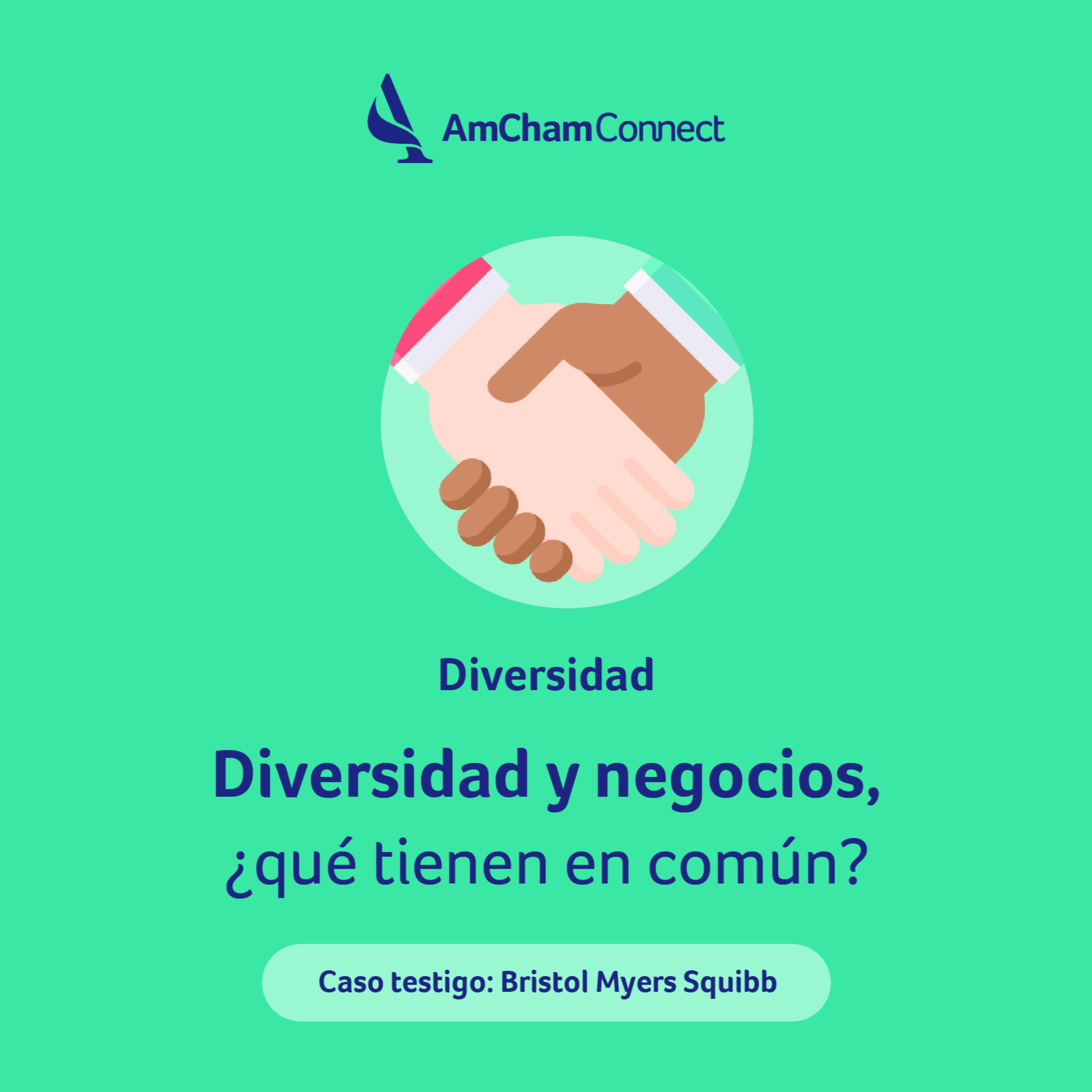 Portada de AmCham Connect