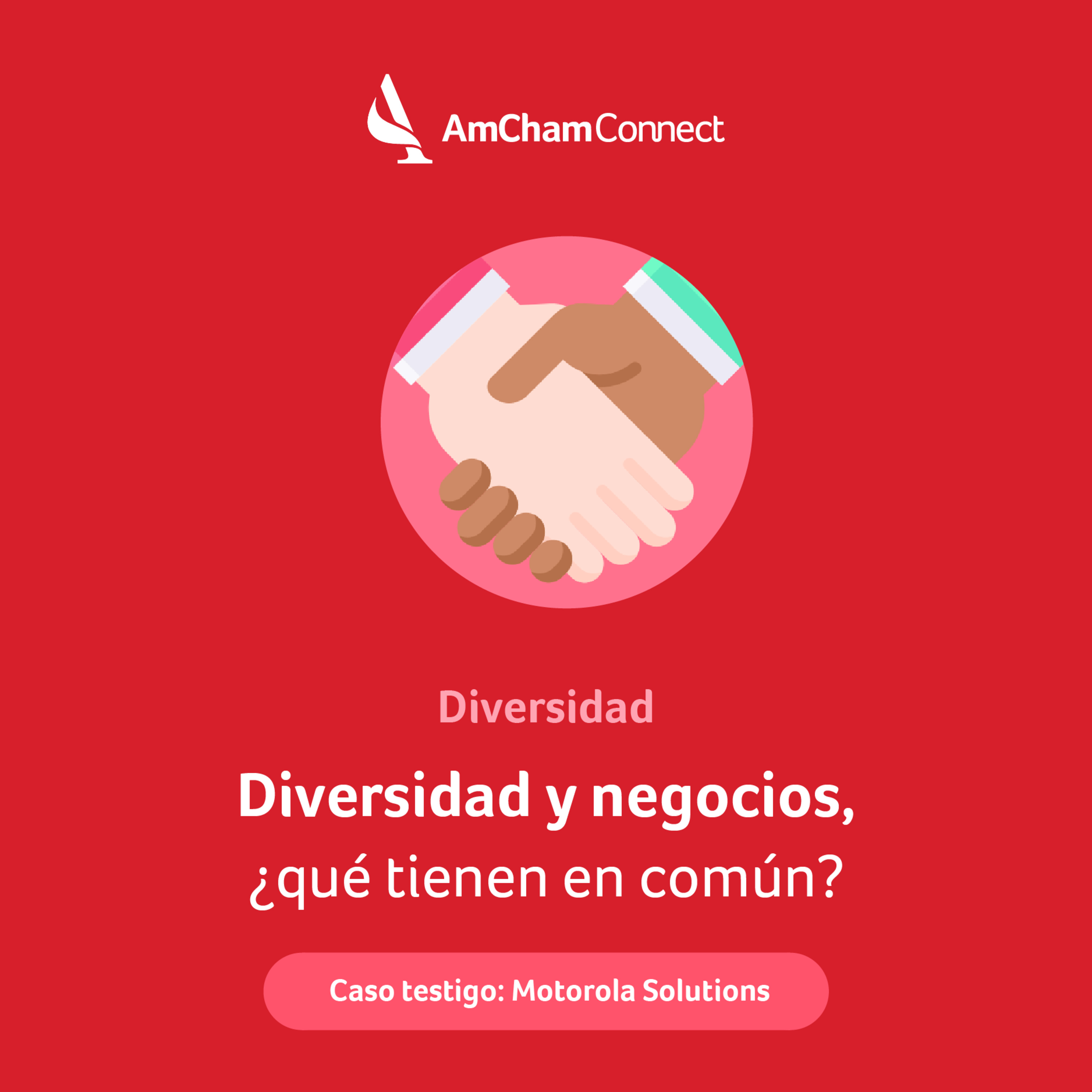 Portada de AmCham Connect