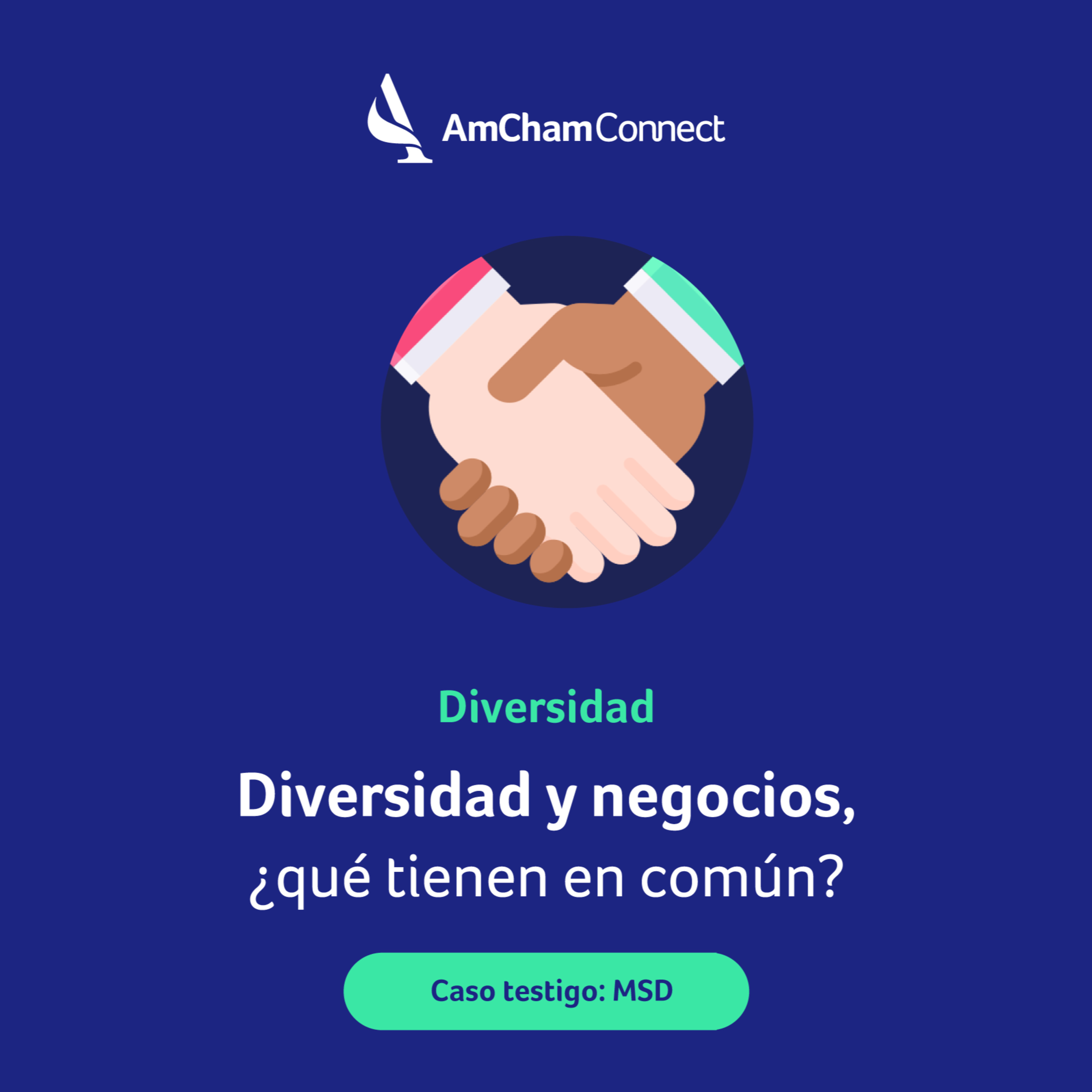 AmCham Connect