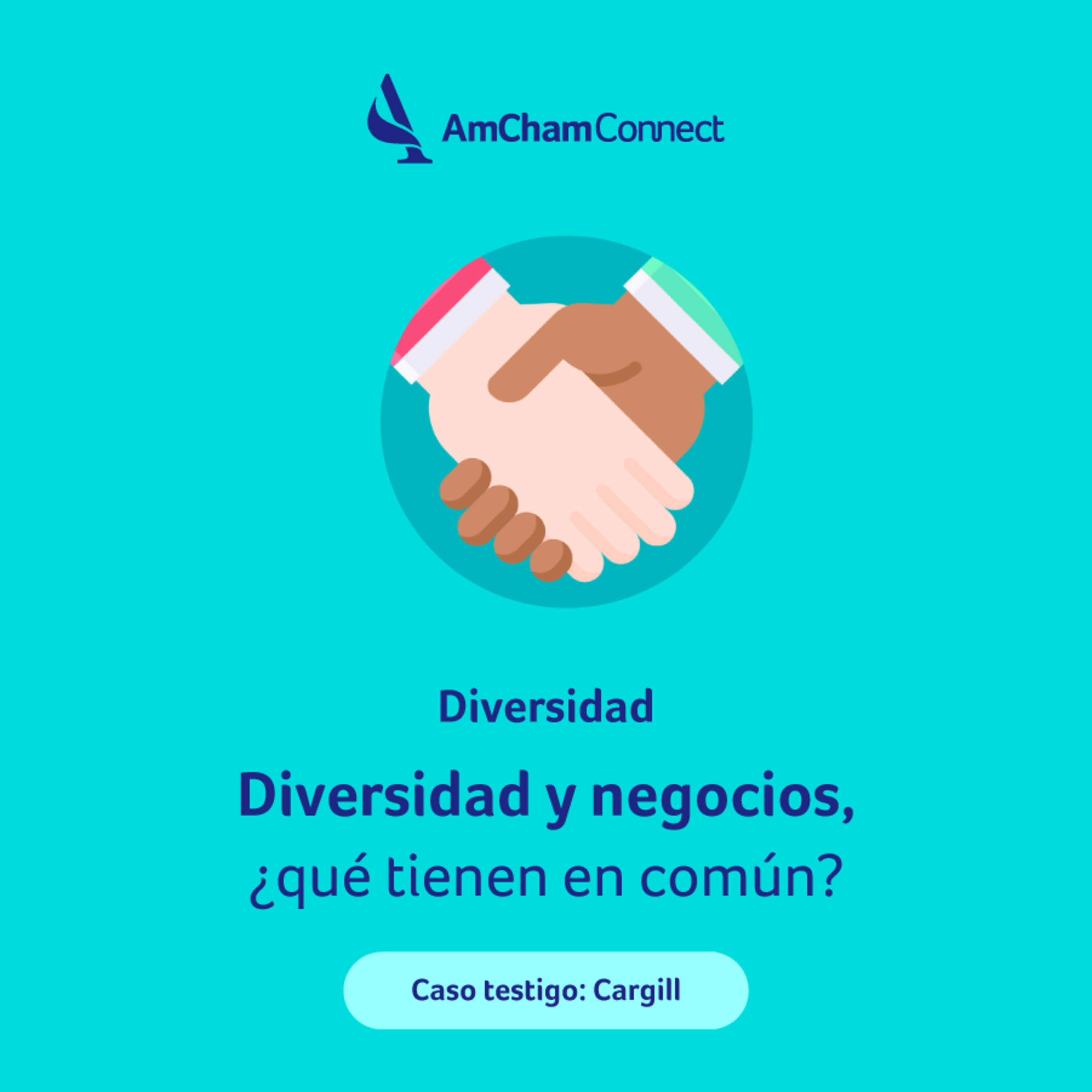 Portada de AmCham Connect