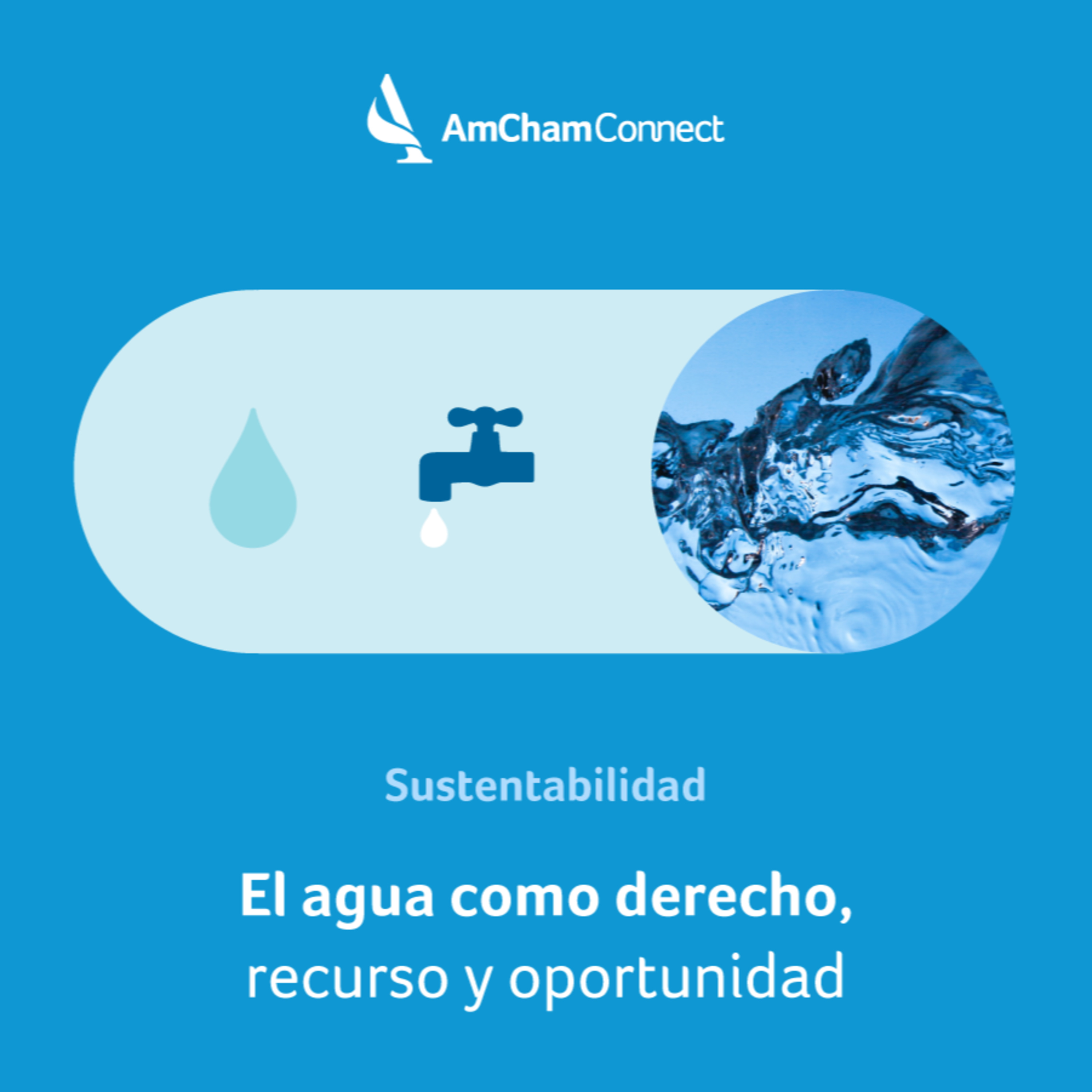 Portada de AmCham Connect