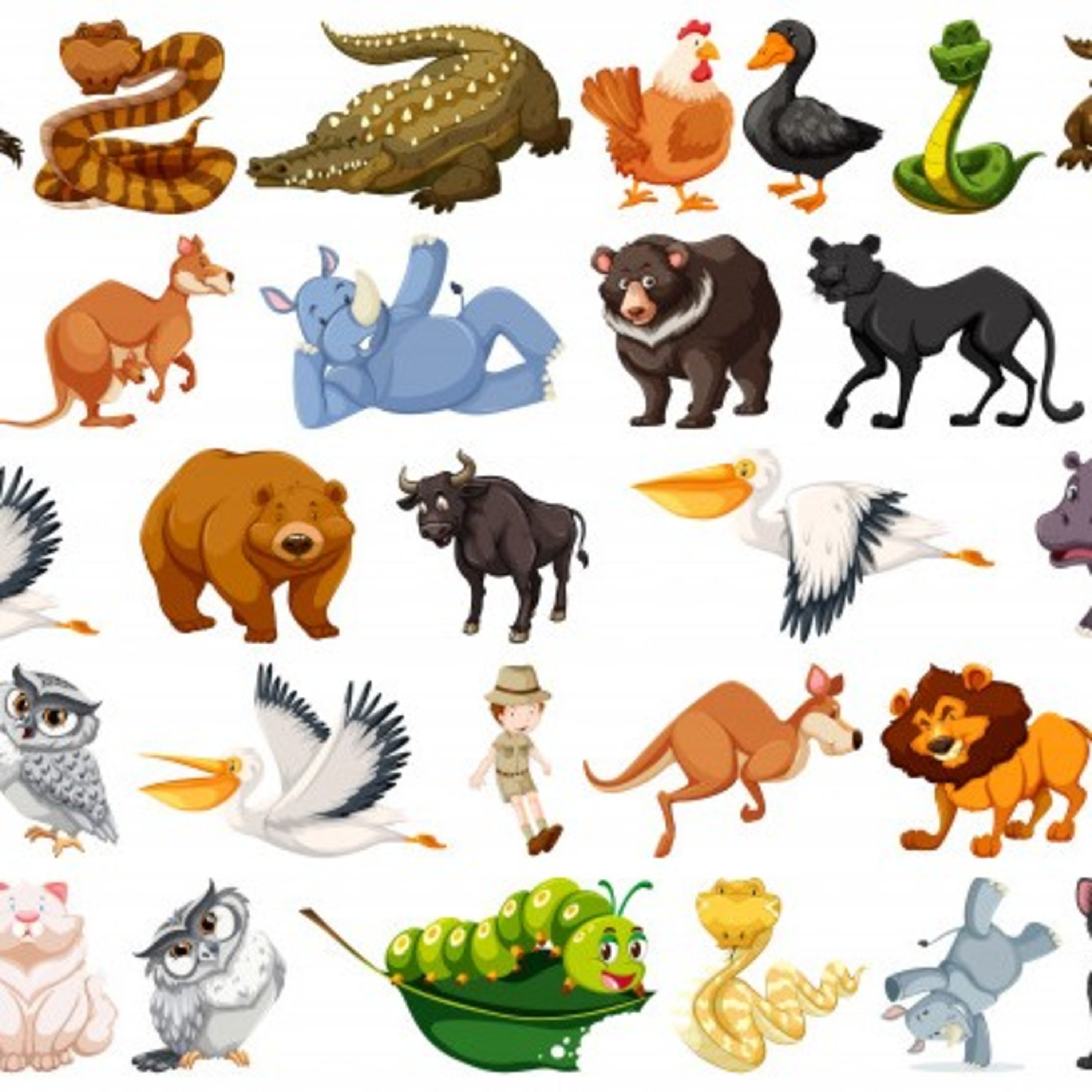 Animales Salvajes  episode artwork