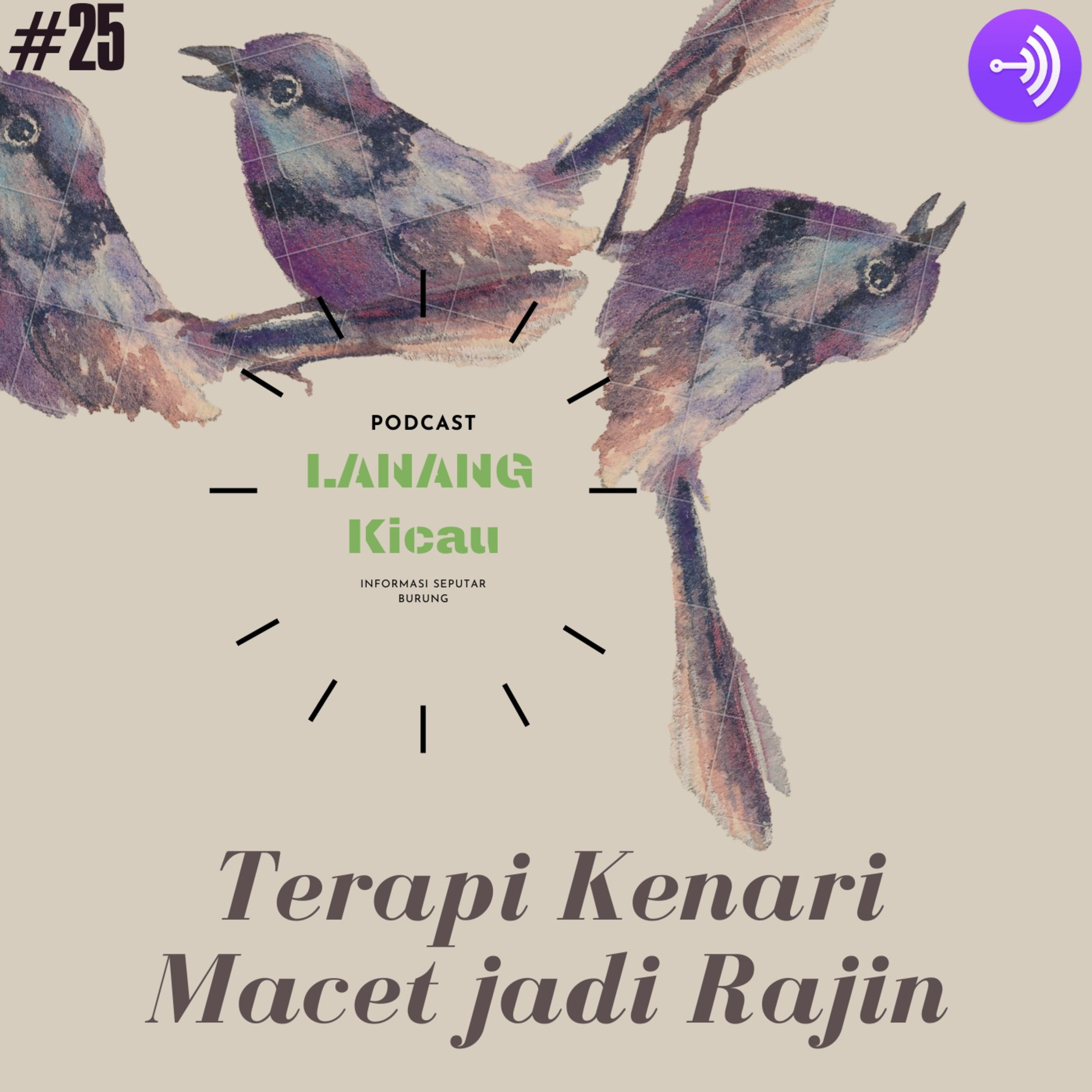 Lanang Kicau