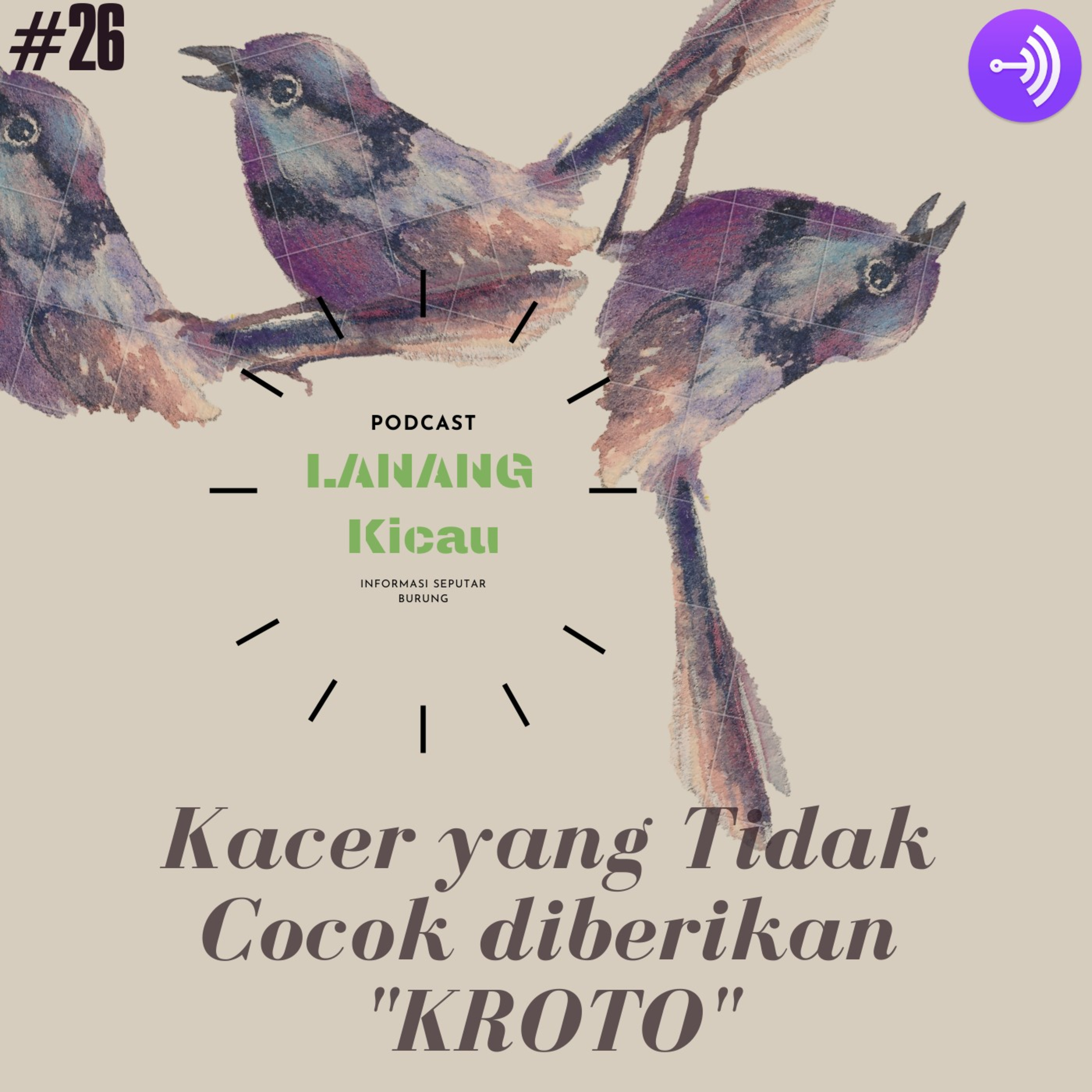 Lanang Kicau