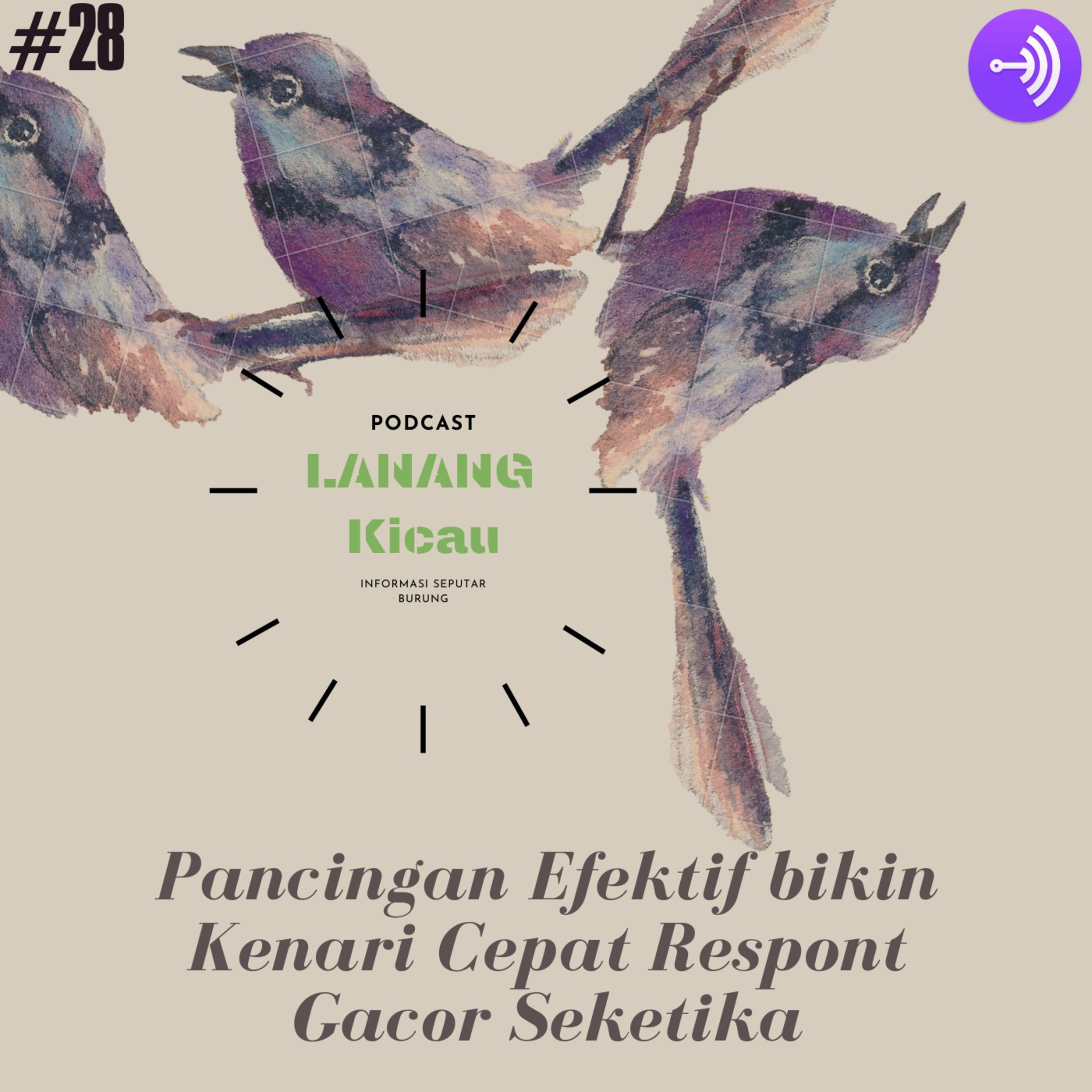 Lanang Kicau