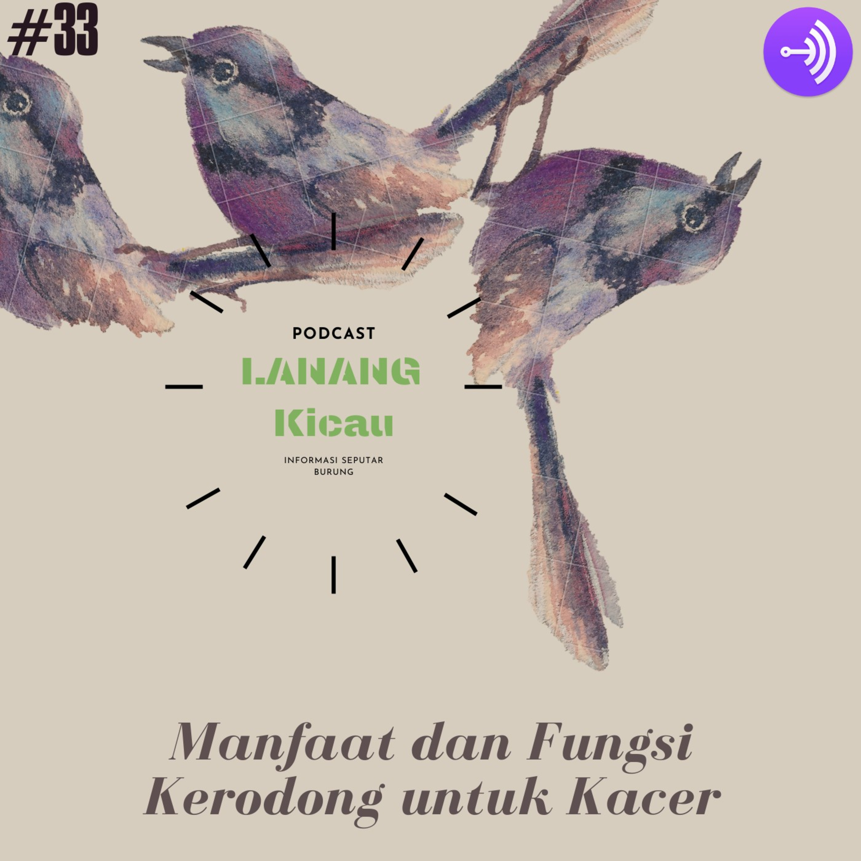 Lanang Kicau