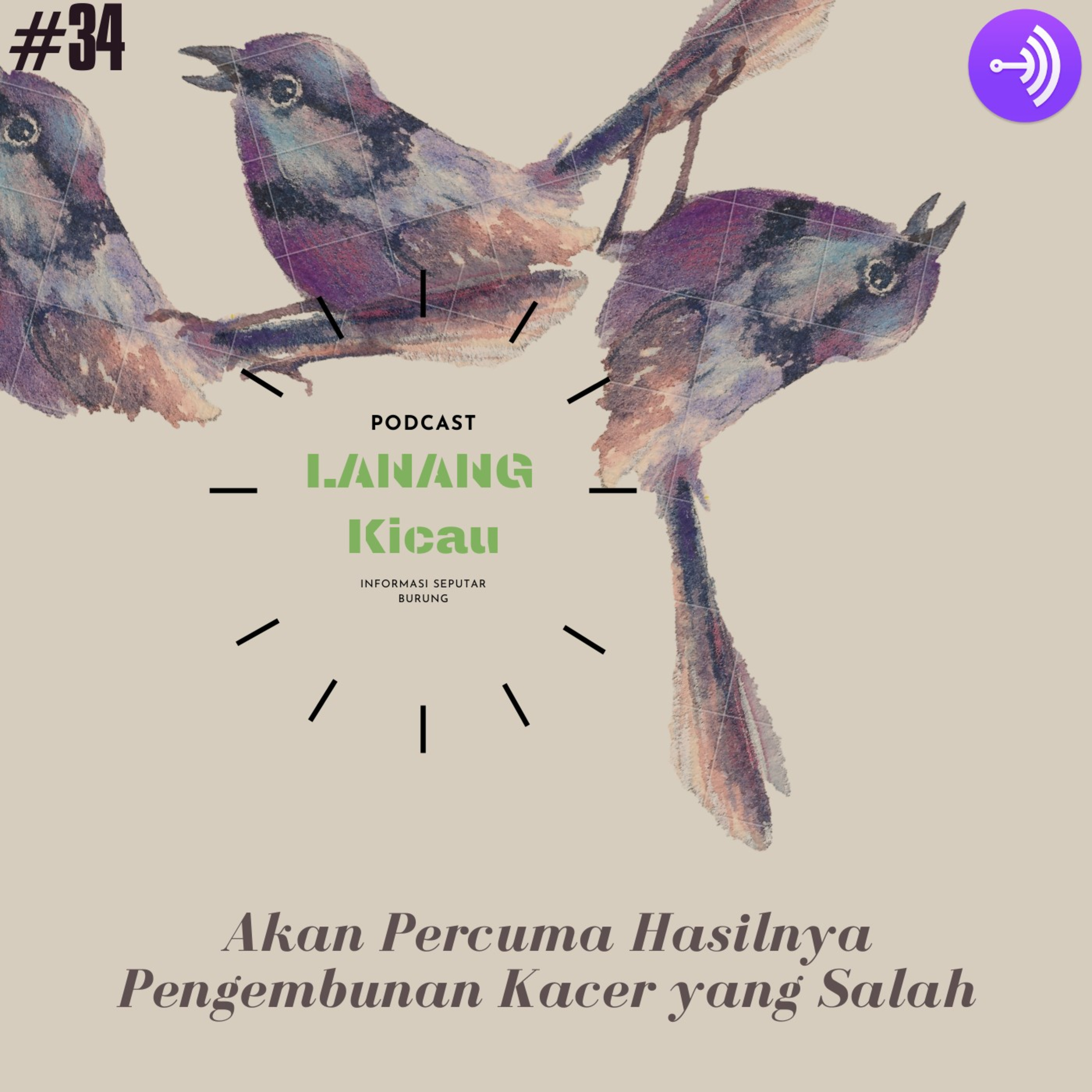 Lanang Kicau