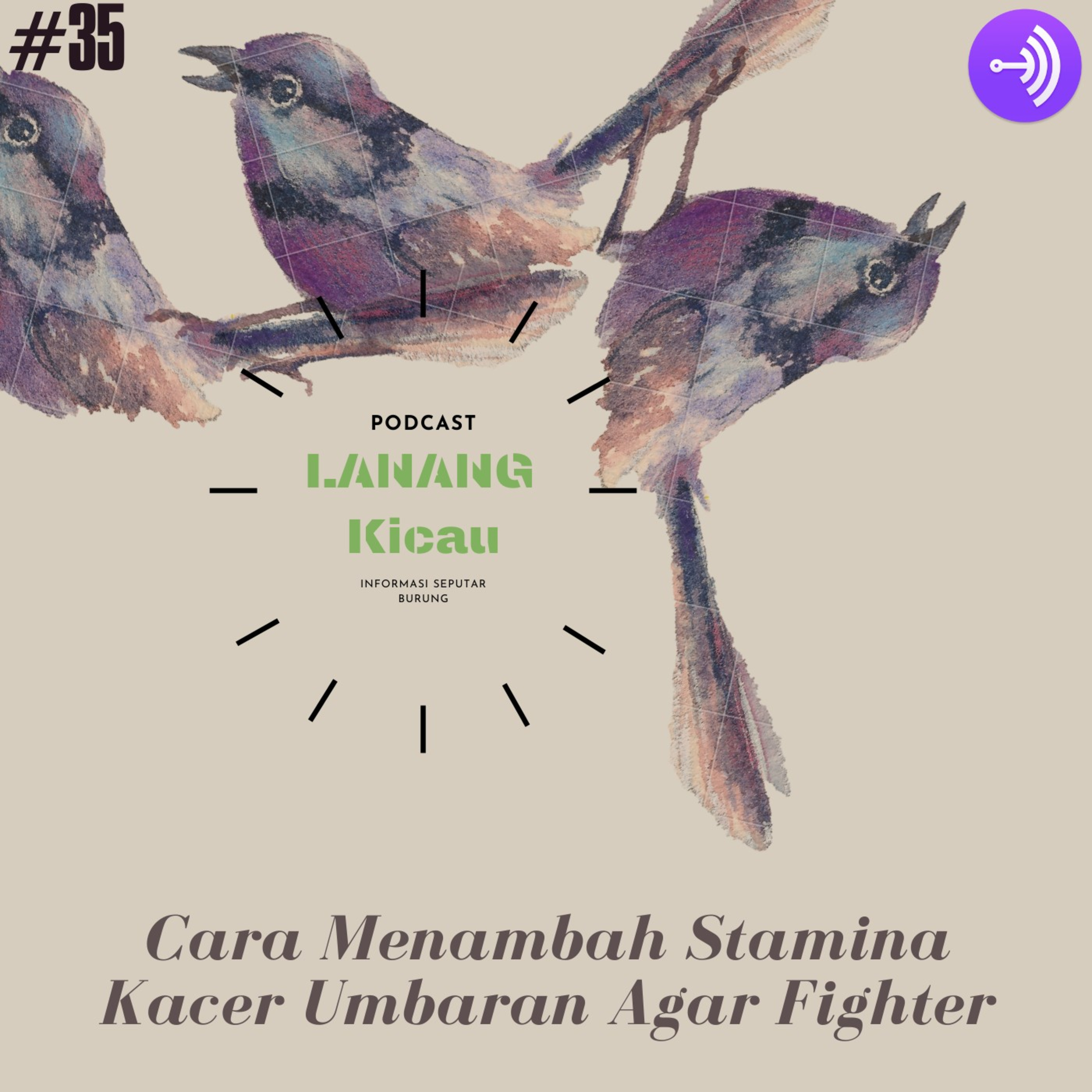 Lanang Kicau