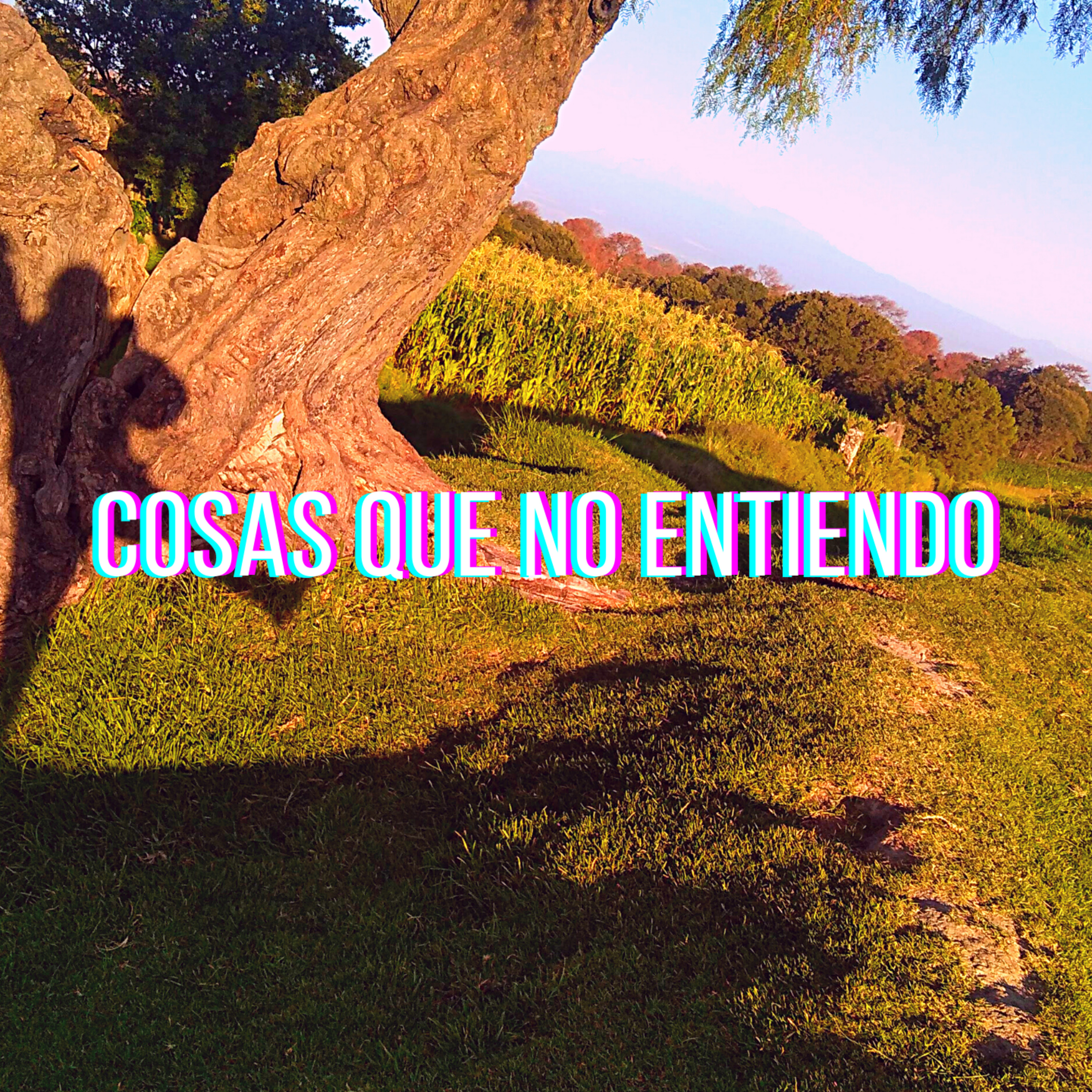 Bagaje de humanos