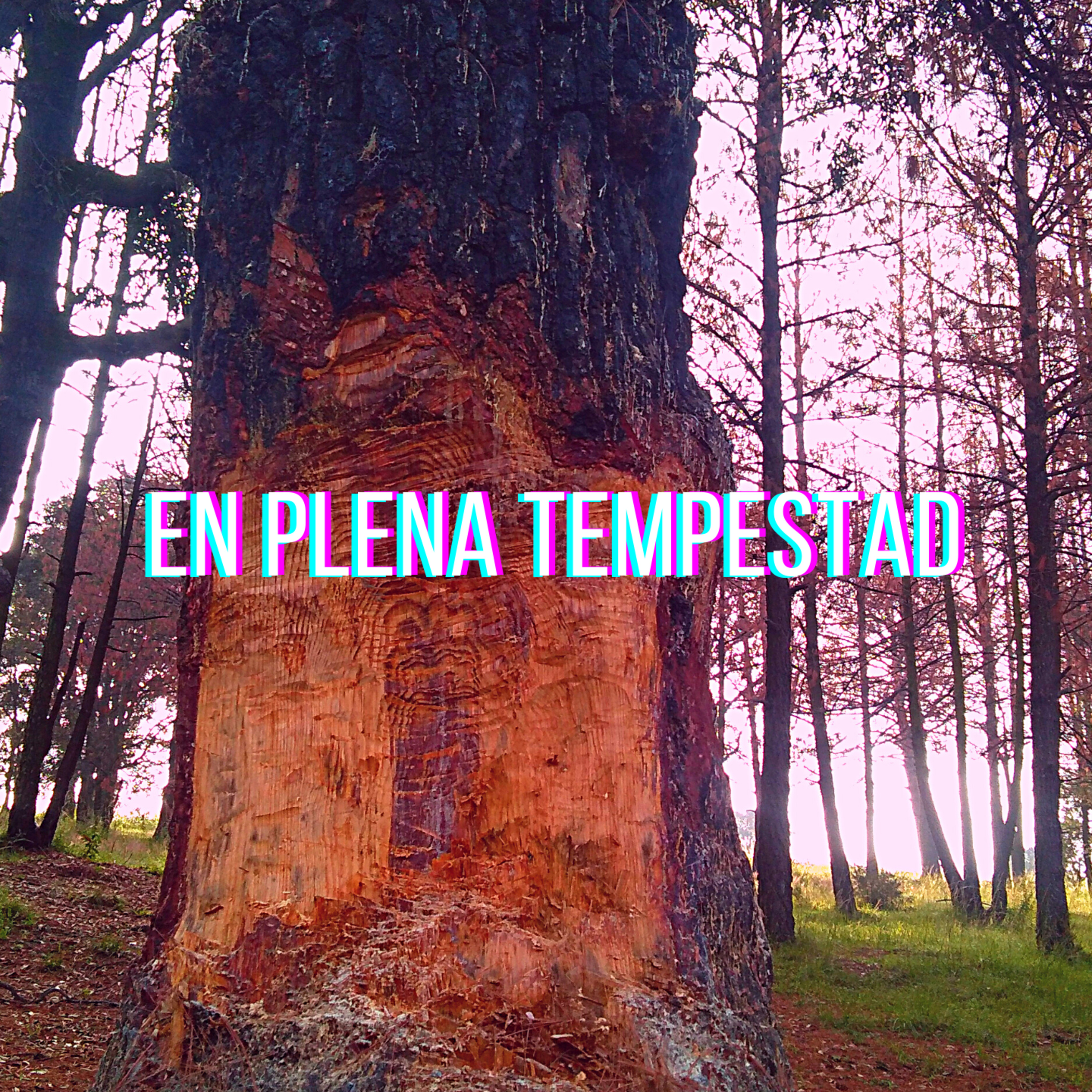 Bagaje de humanos