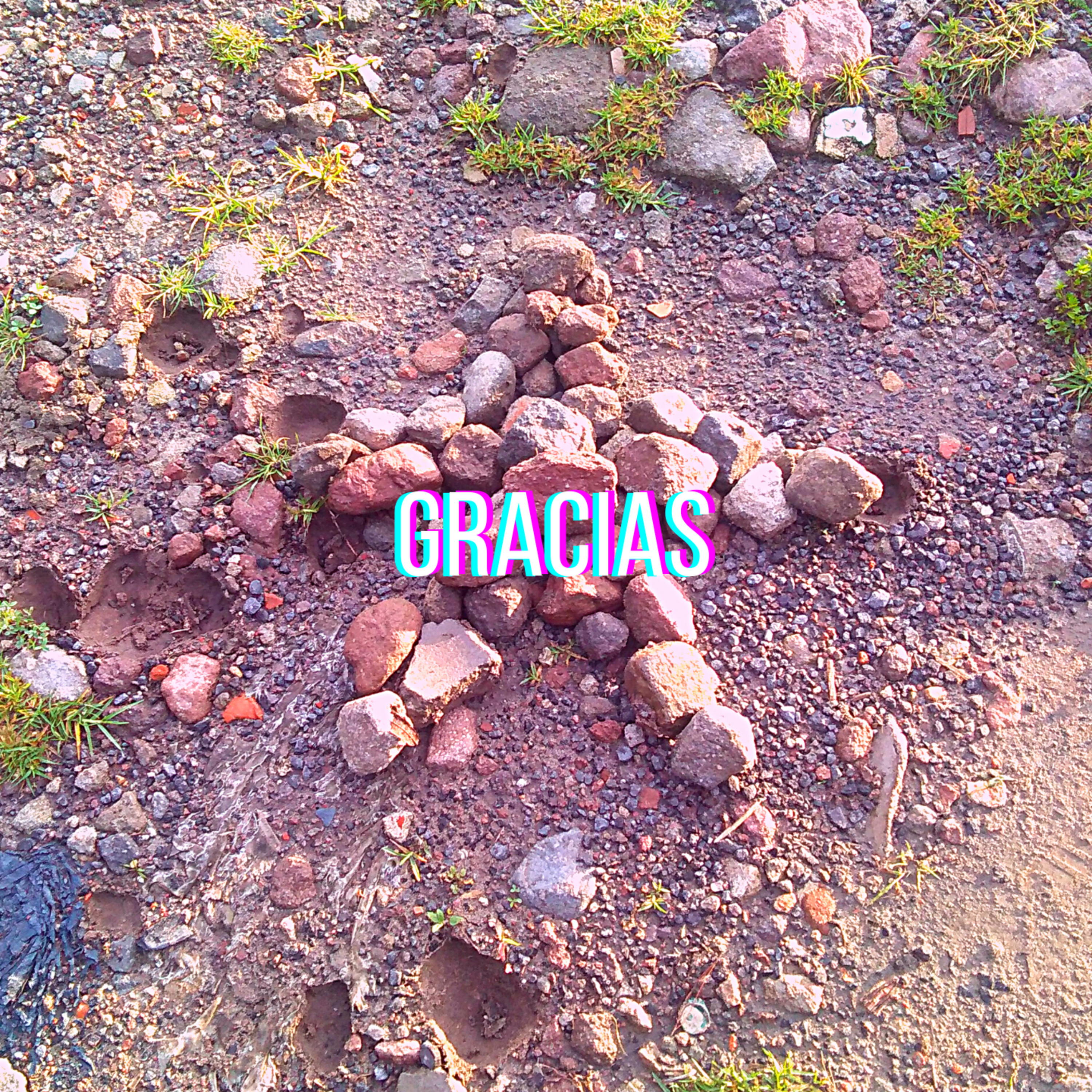 Bagaje de humanos
