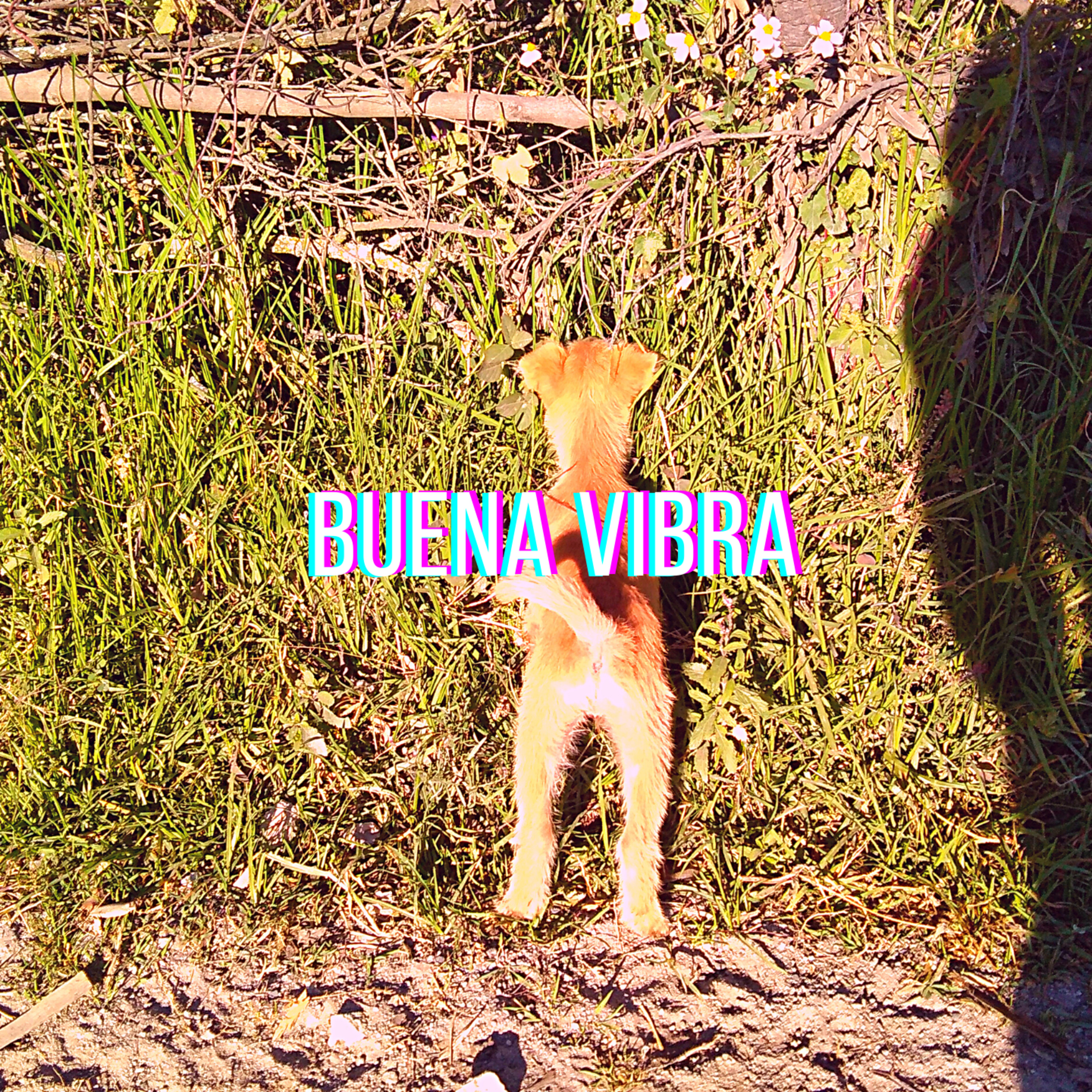 Bagaje de humanos