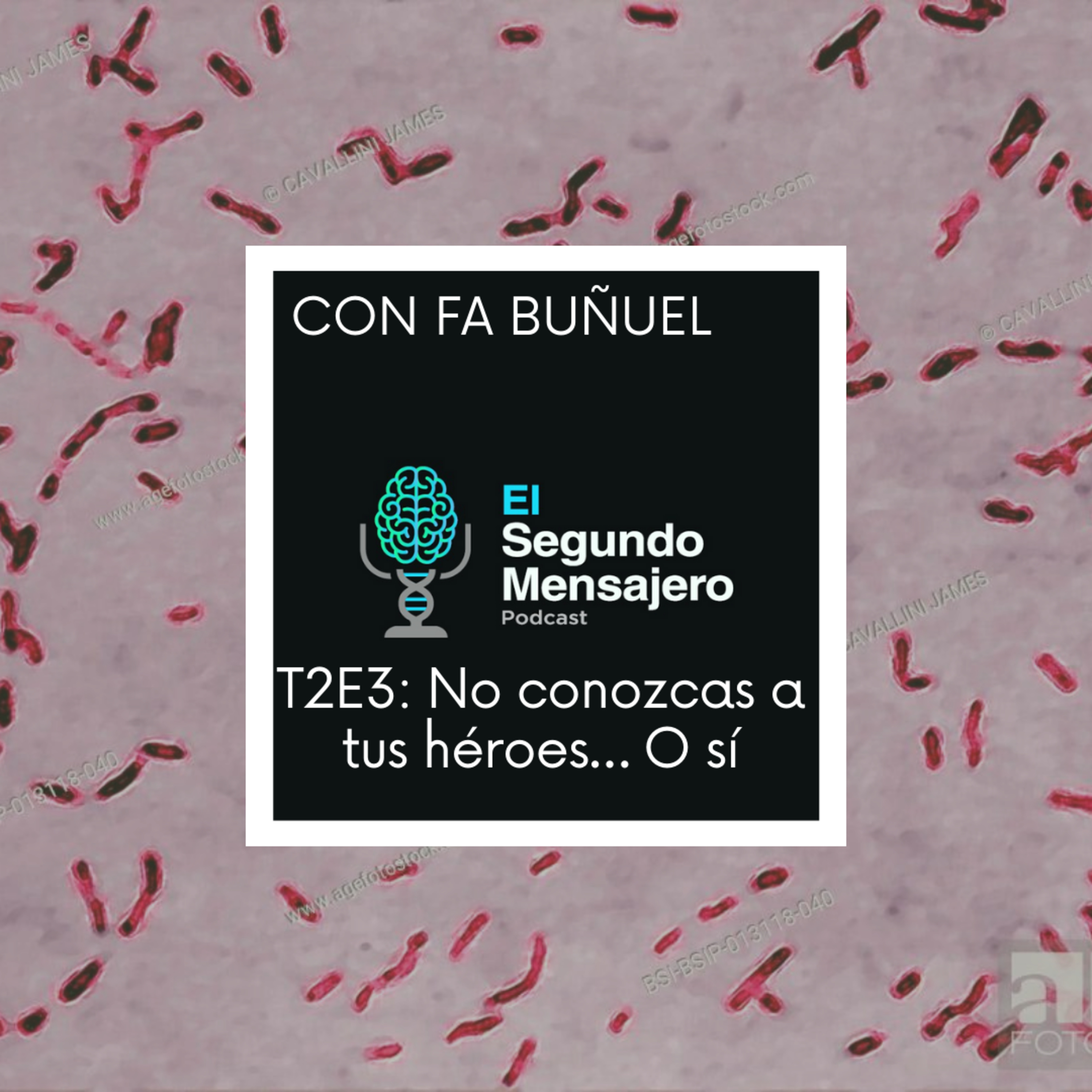 El Segundo Mensajero