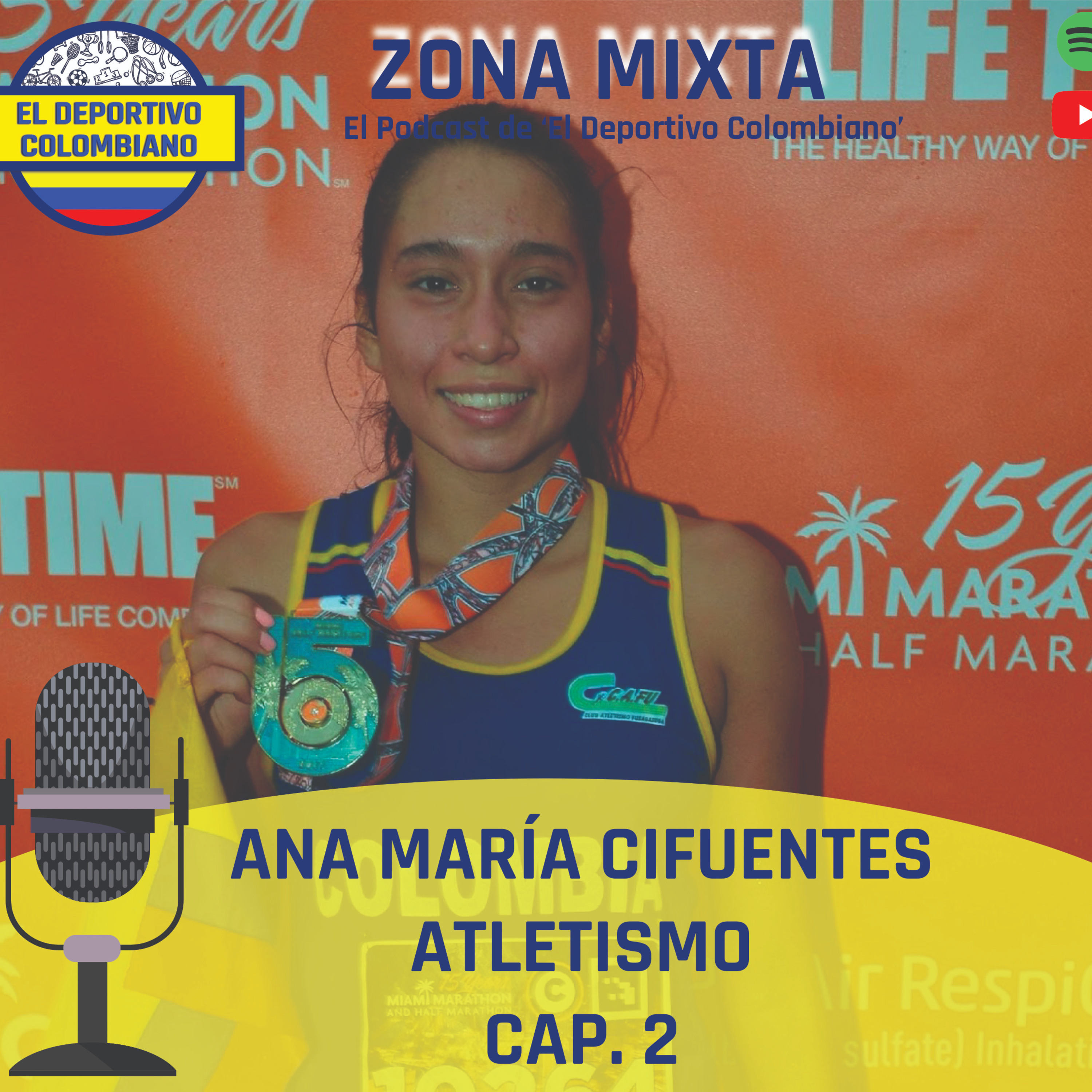 Zona Mixta