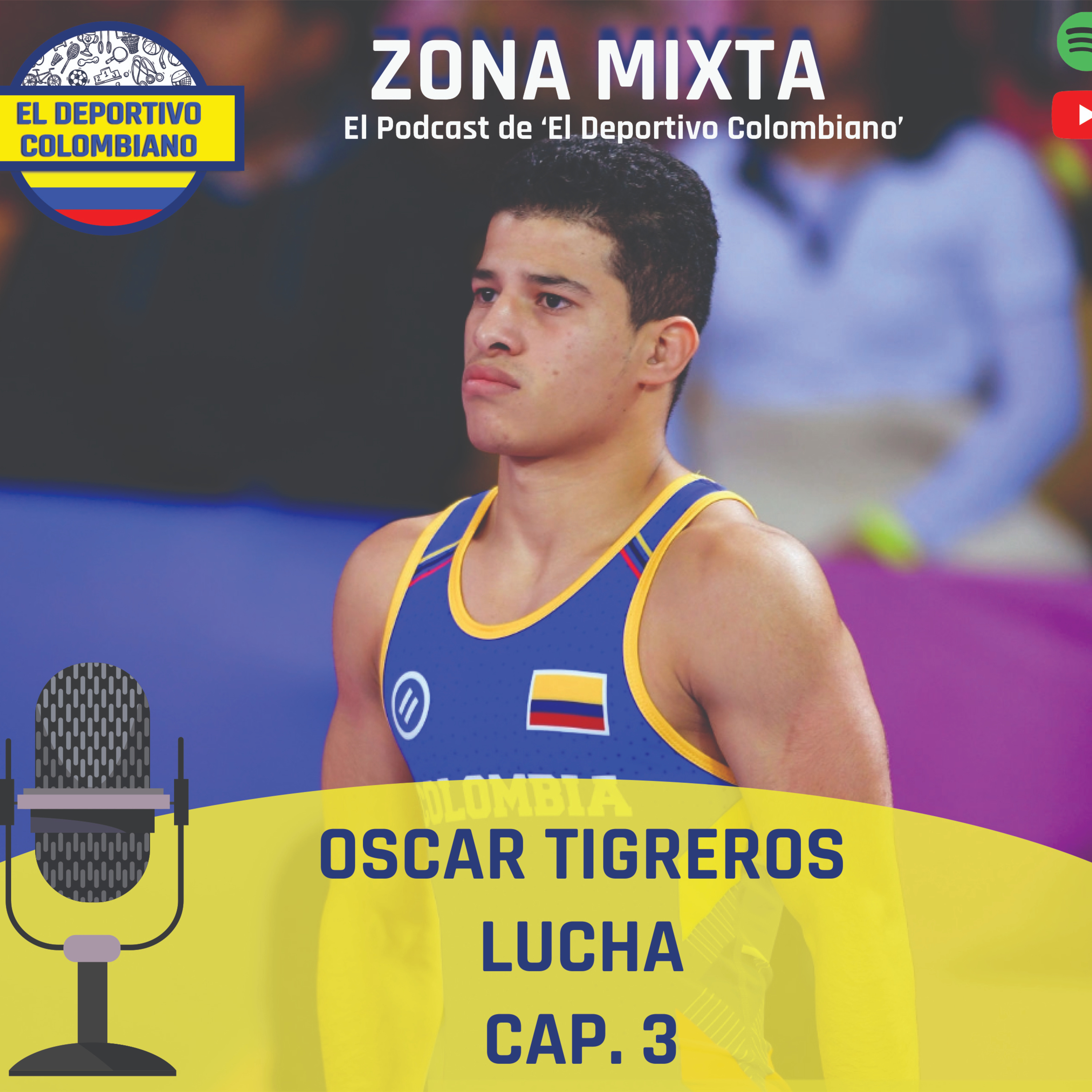 Zona Mixta
