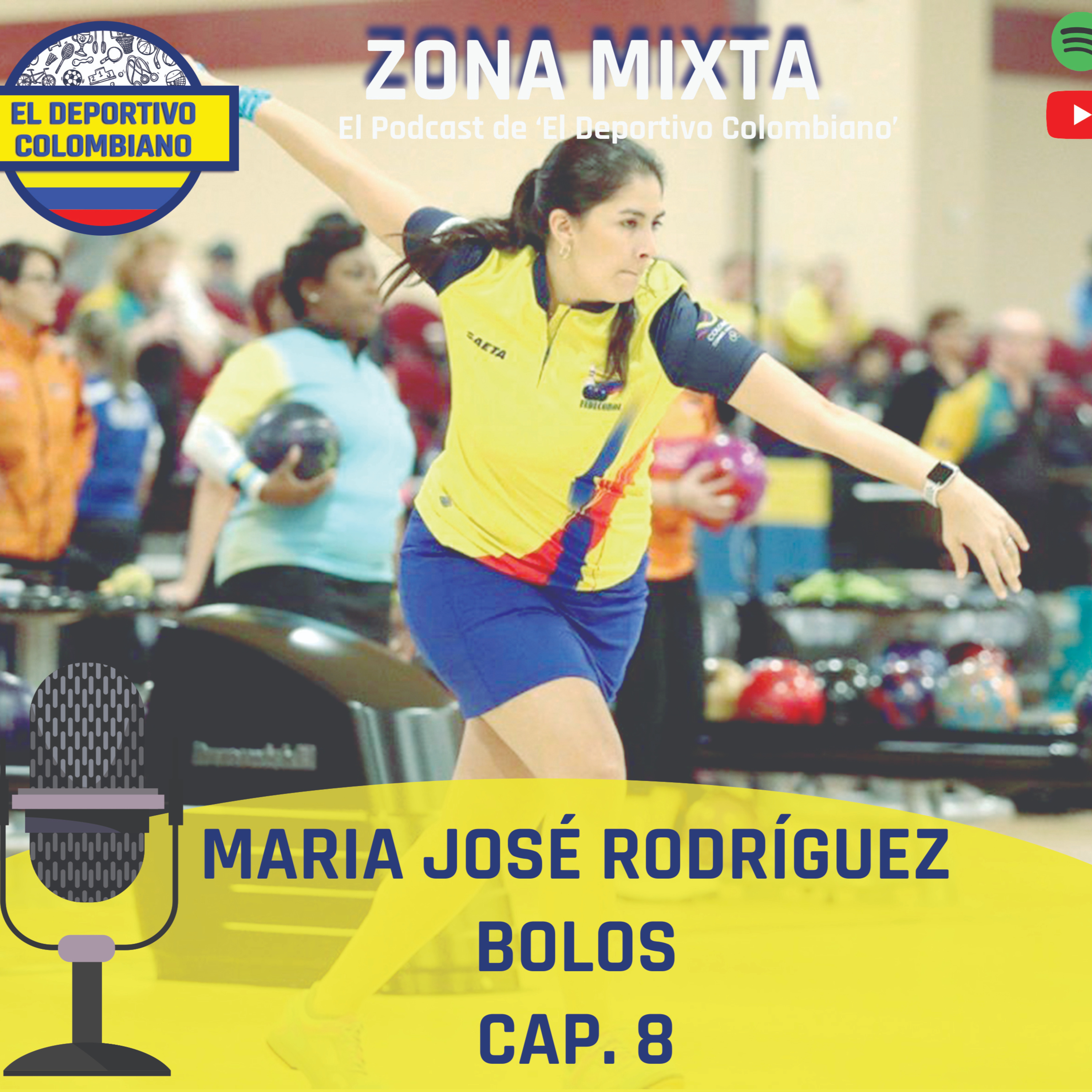 Zona Mixta