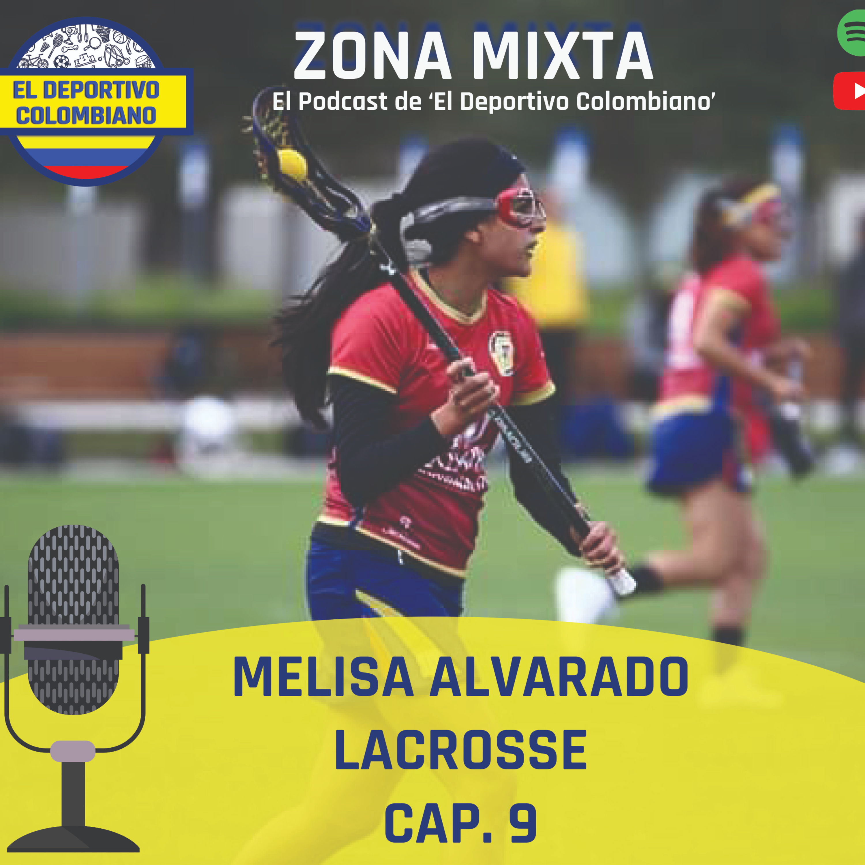 Zona Mixta