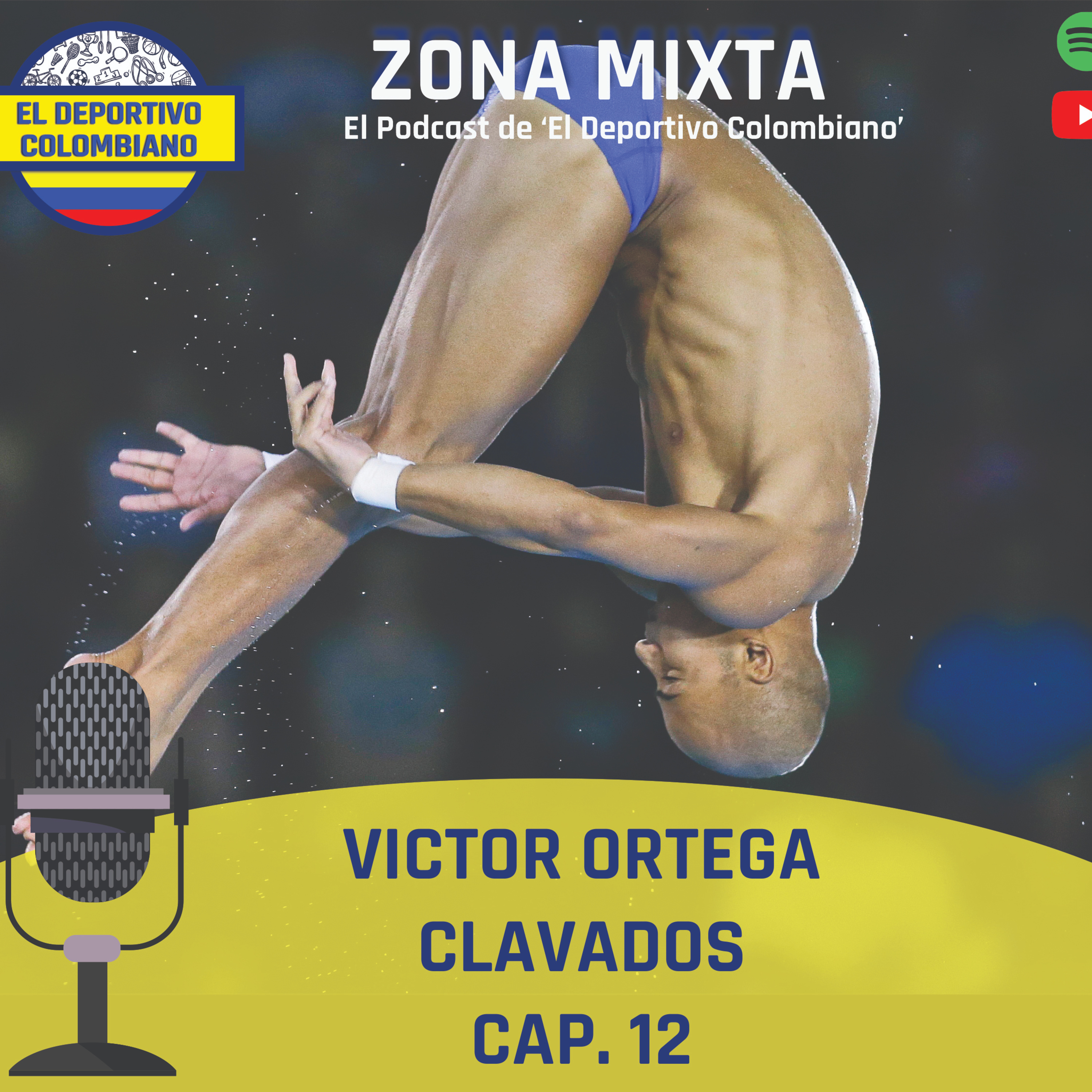 Zona Mixta
