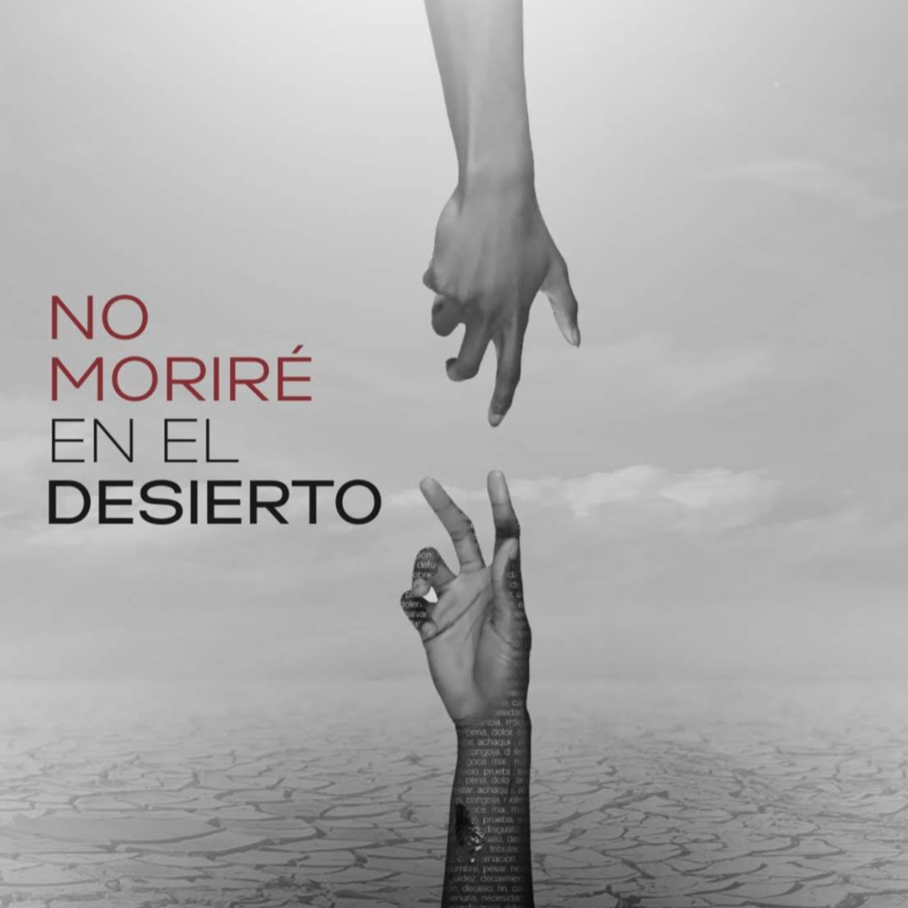 No Moriré En El Desierto - Parte 2 episode artwork