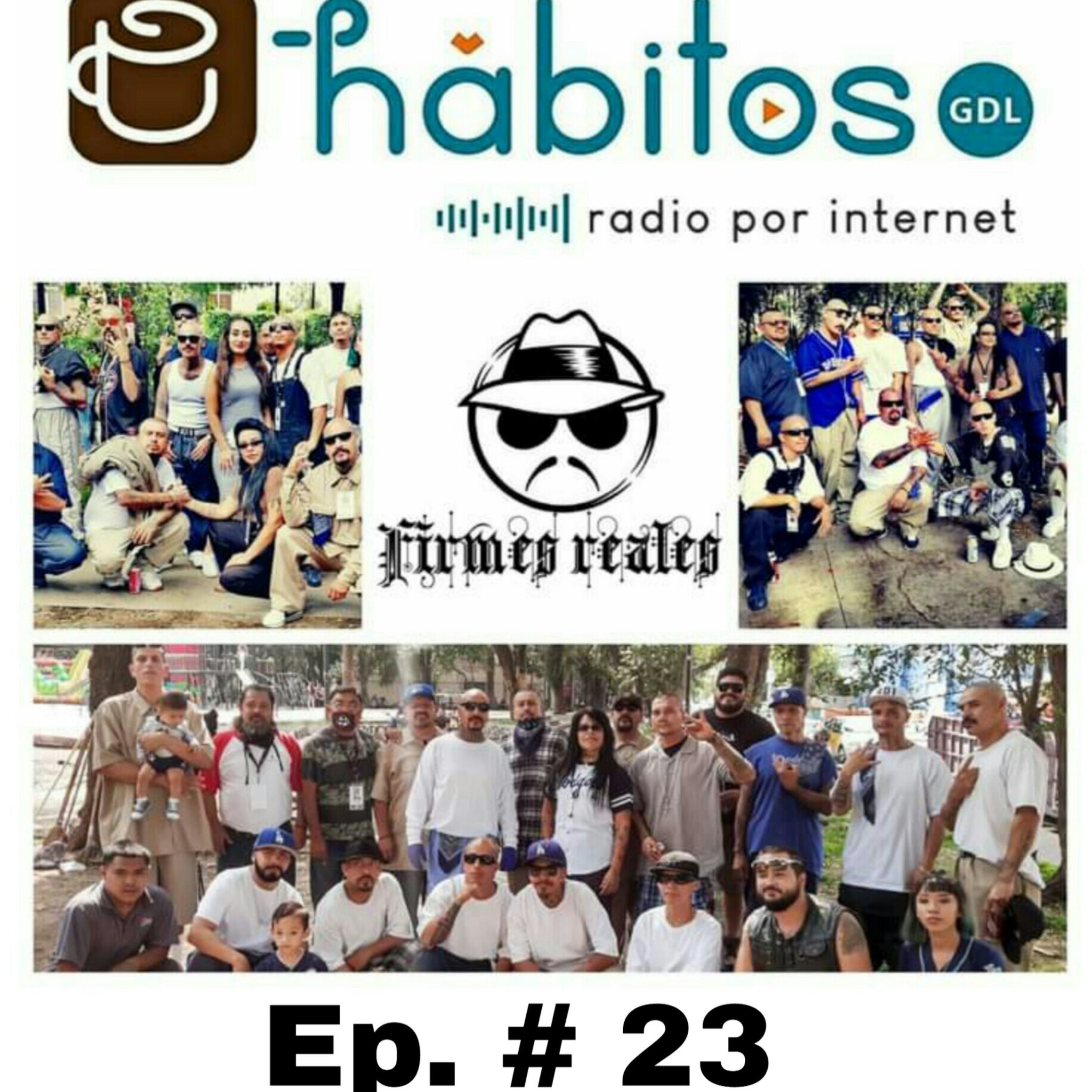 Fernando Romo Ledezma | Hábitos