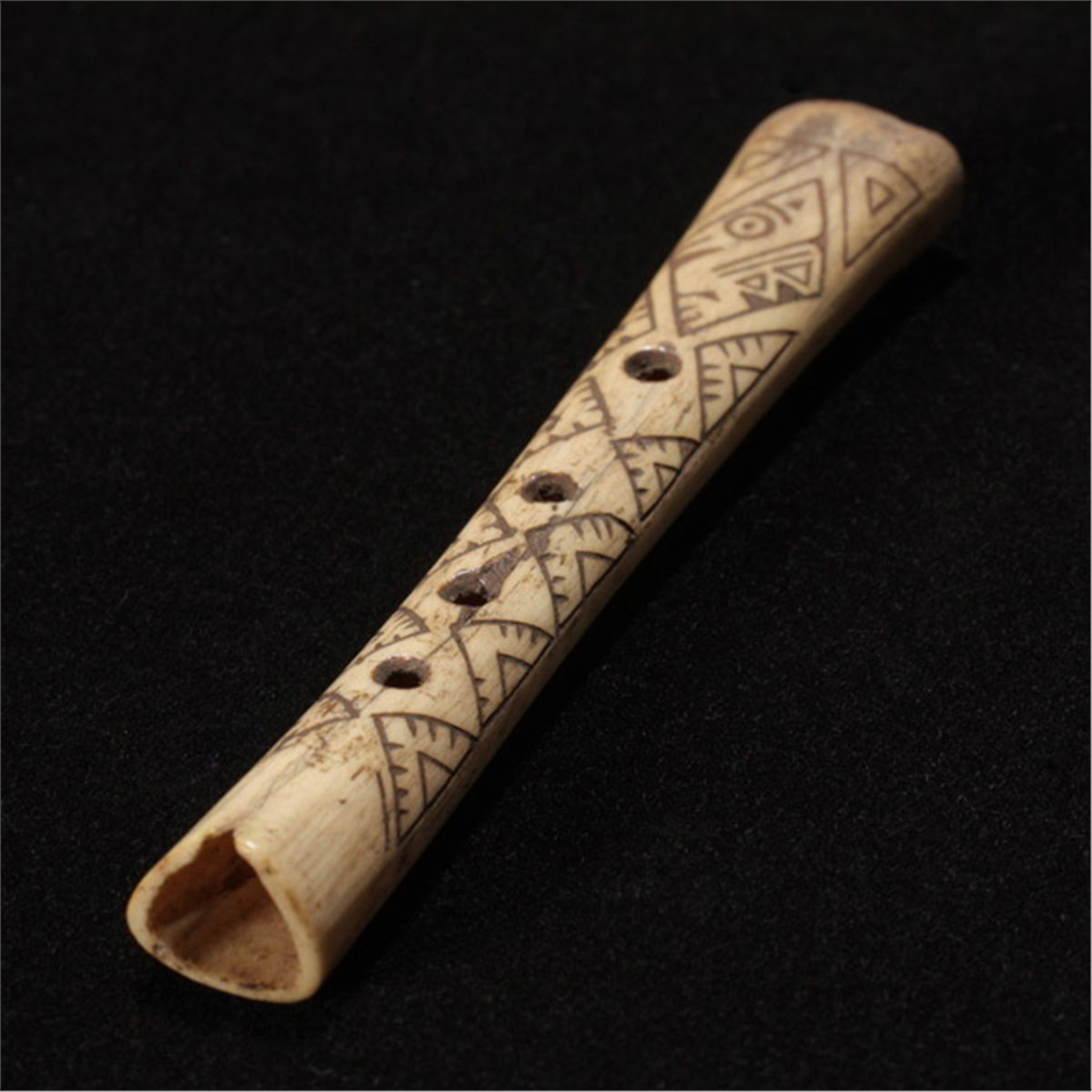 THE SINGING BONE
