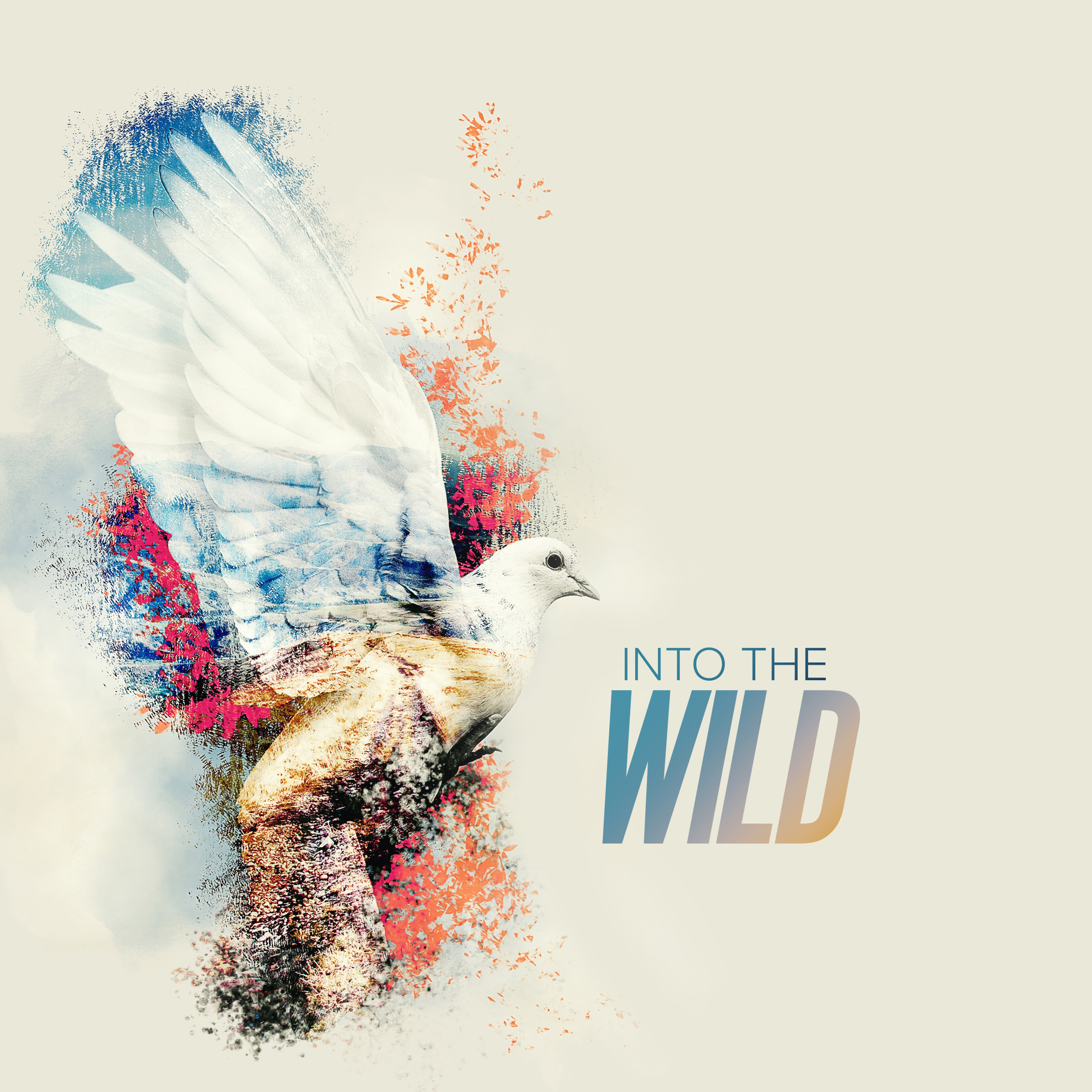 Into the Wild Week 02 - July 21, 2019 episode artwork