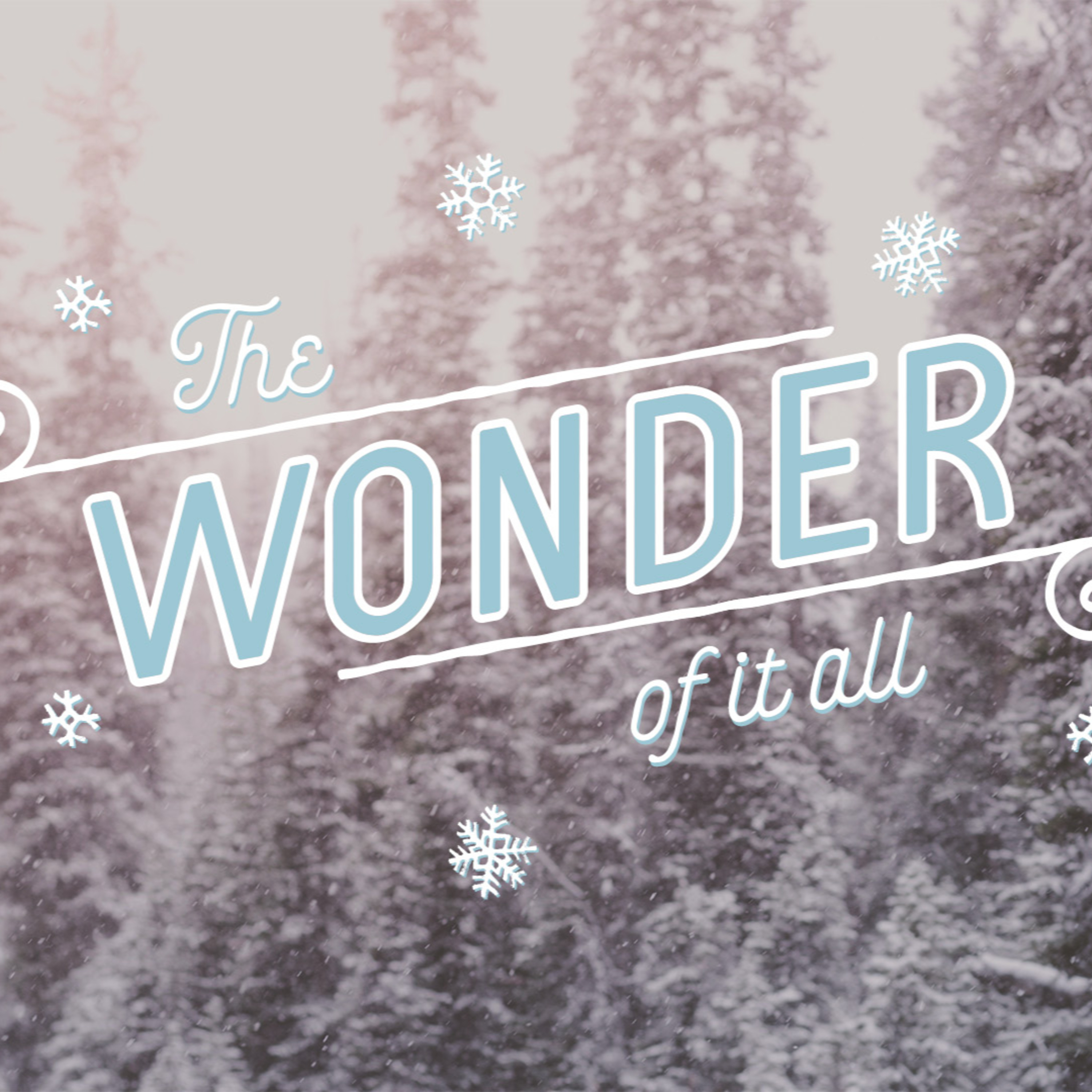 The Wonder of It All Week 02 - December 8, 2019 episode artwork