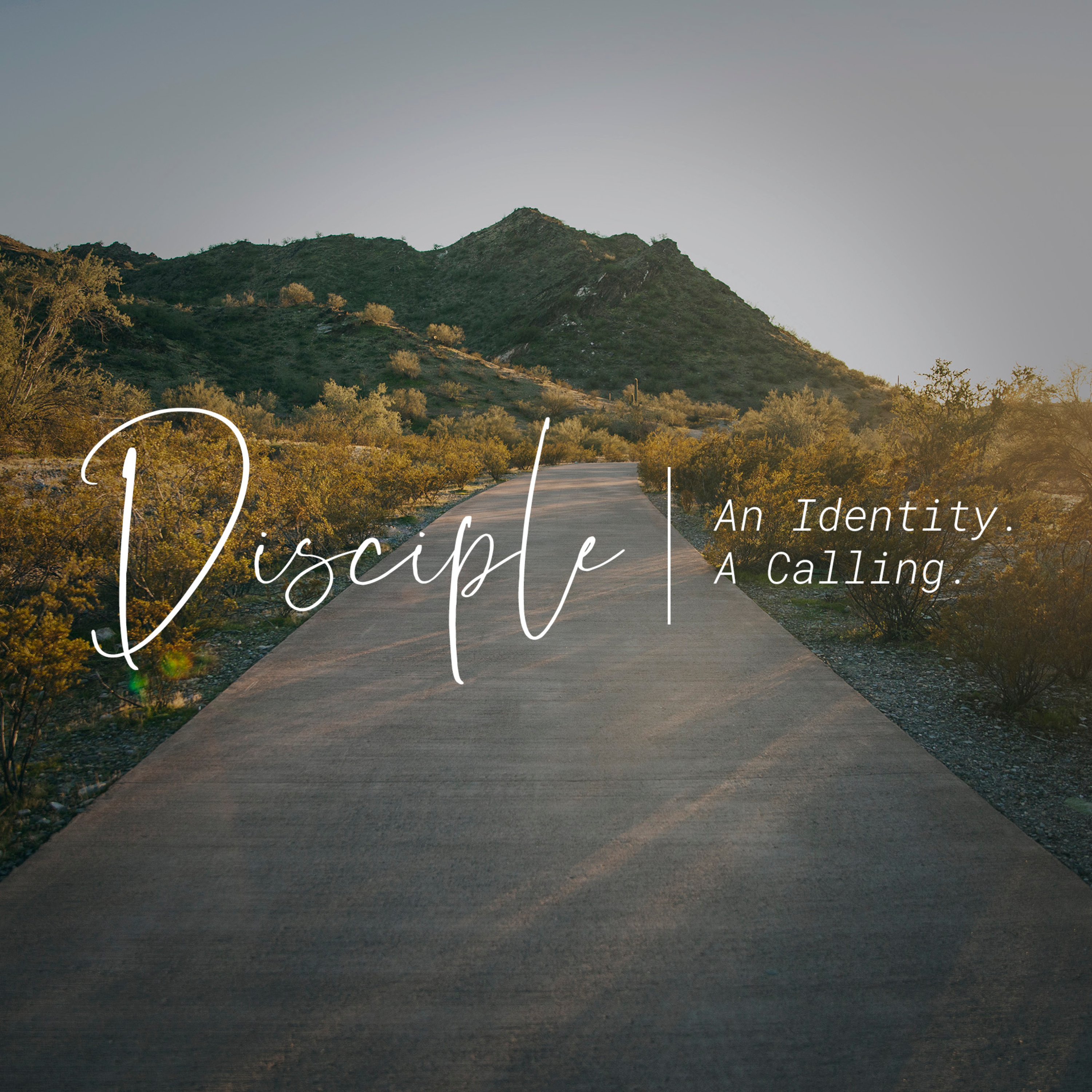 Disciple Week 06 - February 16, 2020 episode artwork