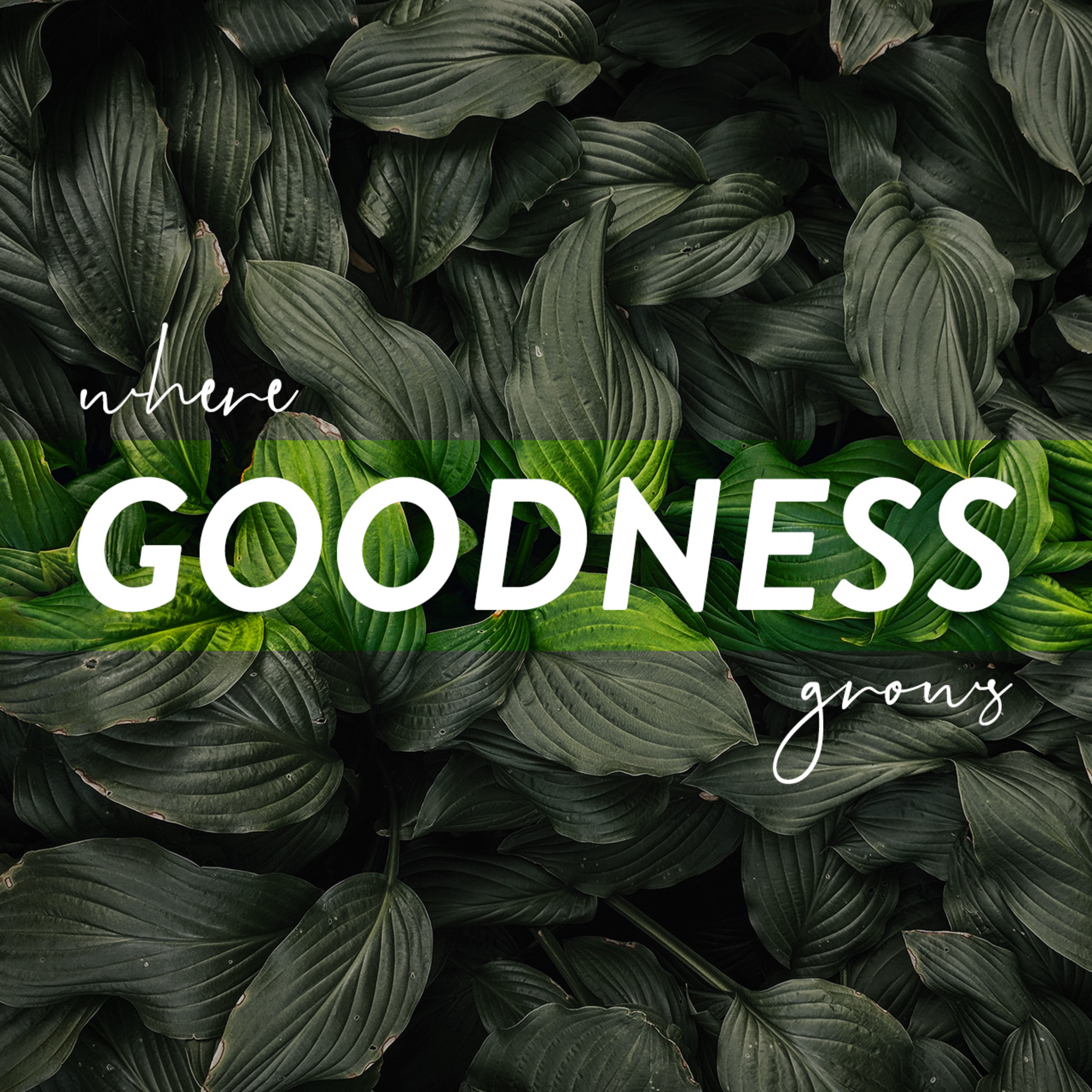 Where Goodness Grows Week 03 - May 17, 2020 episode artwork