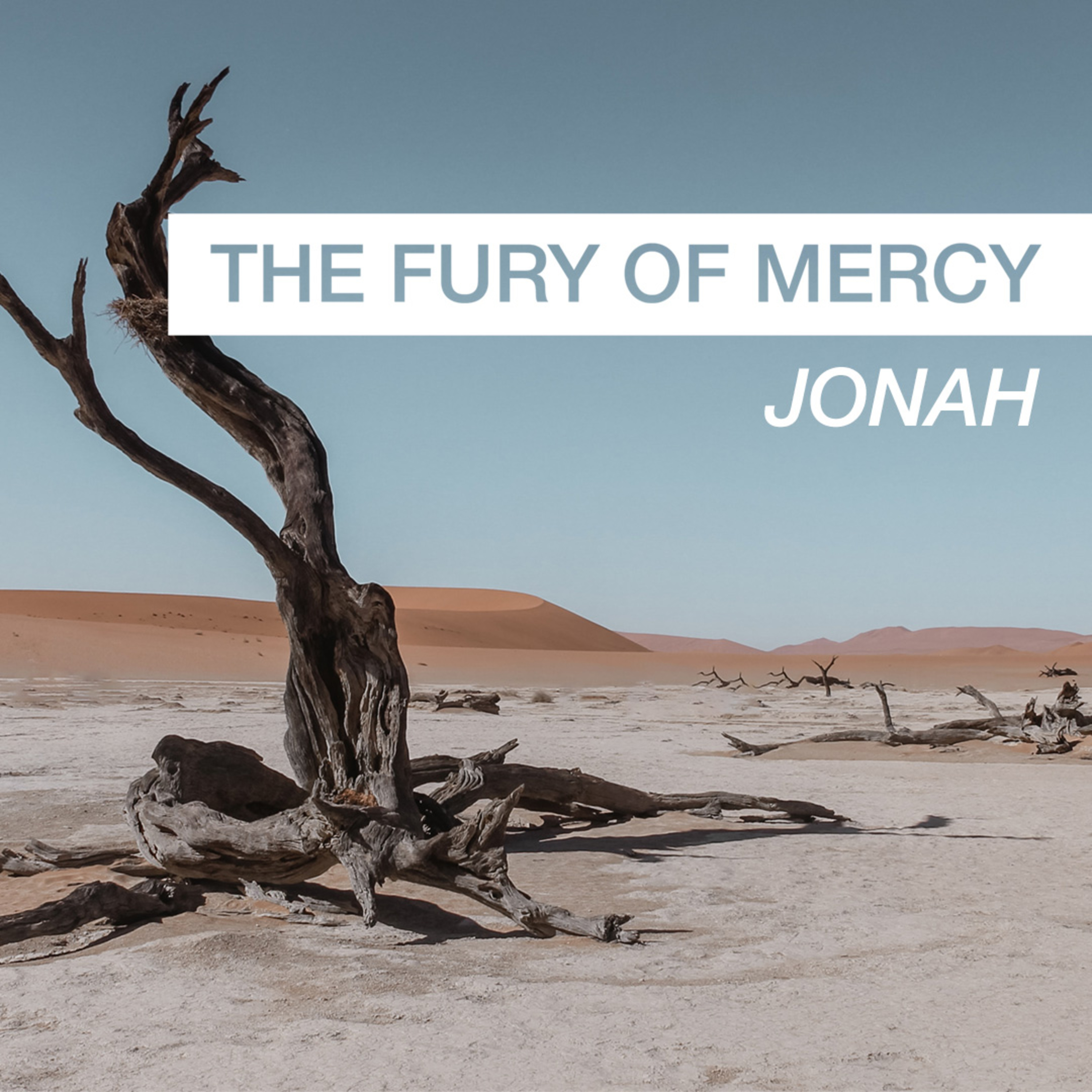 The Fury of Mercy (Jonah) Part 6 - October 18, 2020 episode artwork